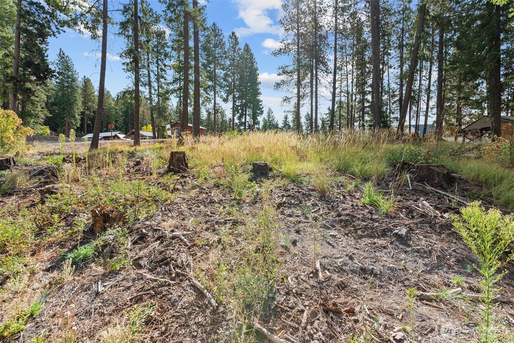 25711 Bridle Lane Property Photo 1