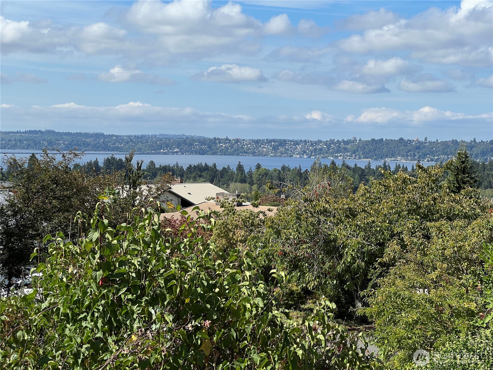 1701 92nd Avenue Property Photo 2