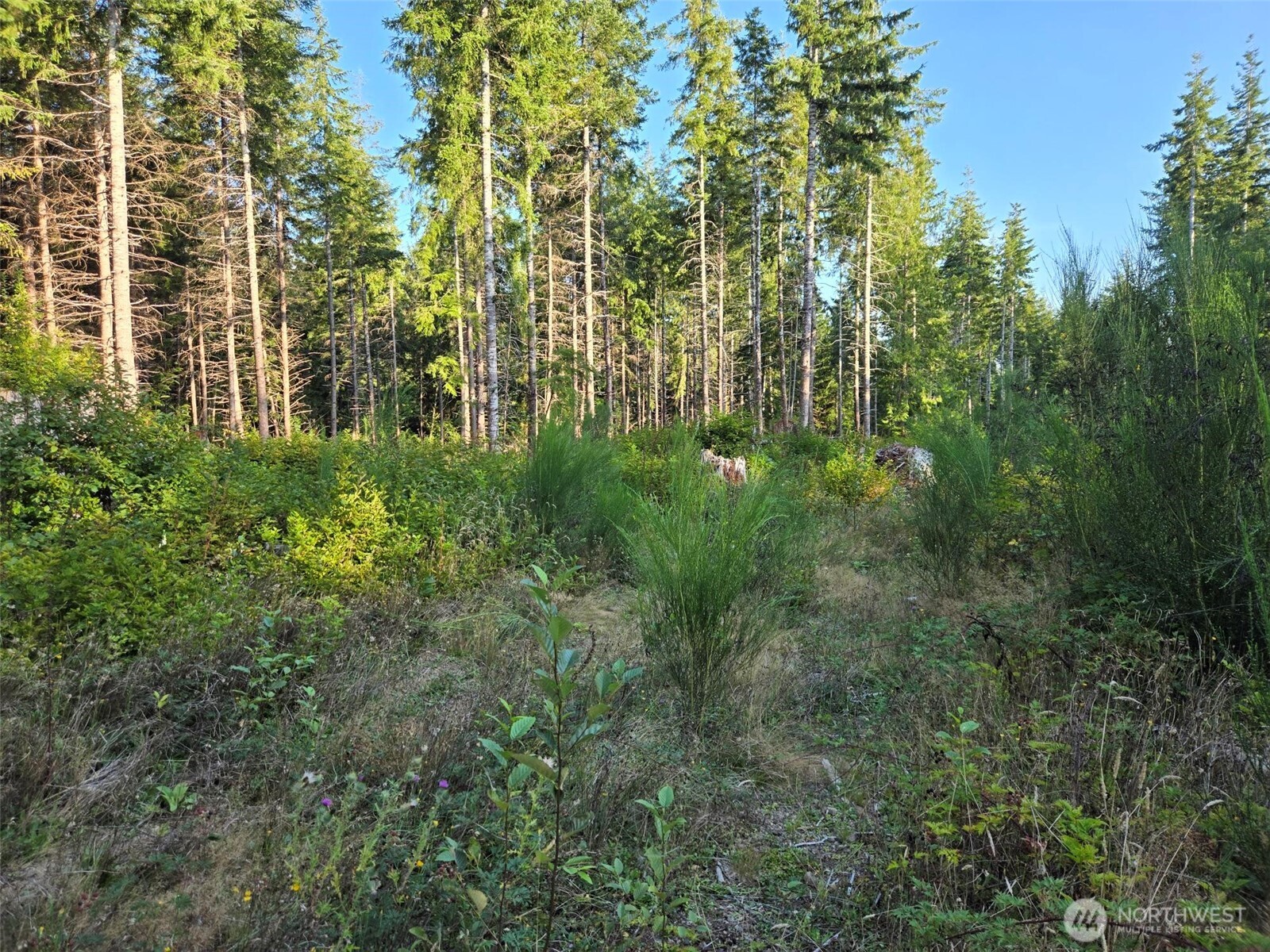 15 Xx Kirkpatrick Road Property Photo 6