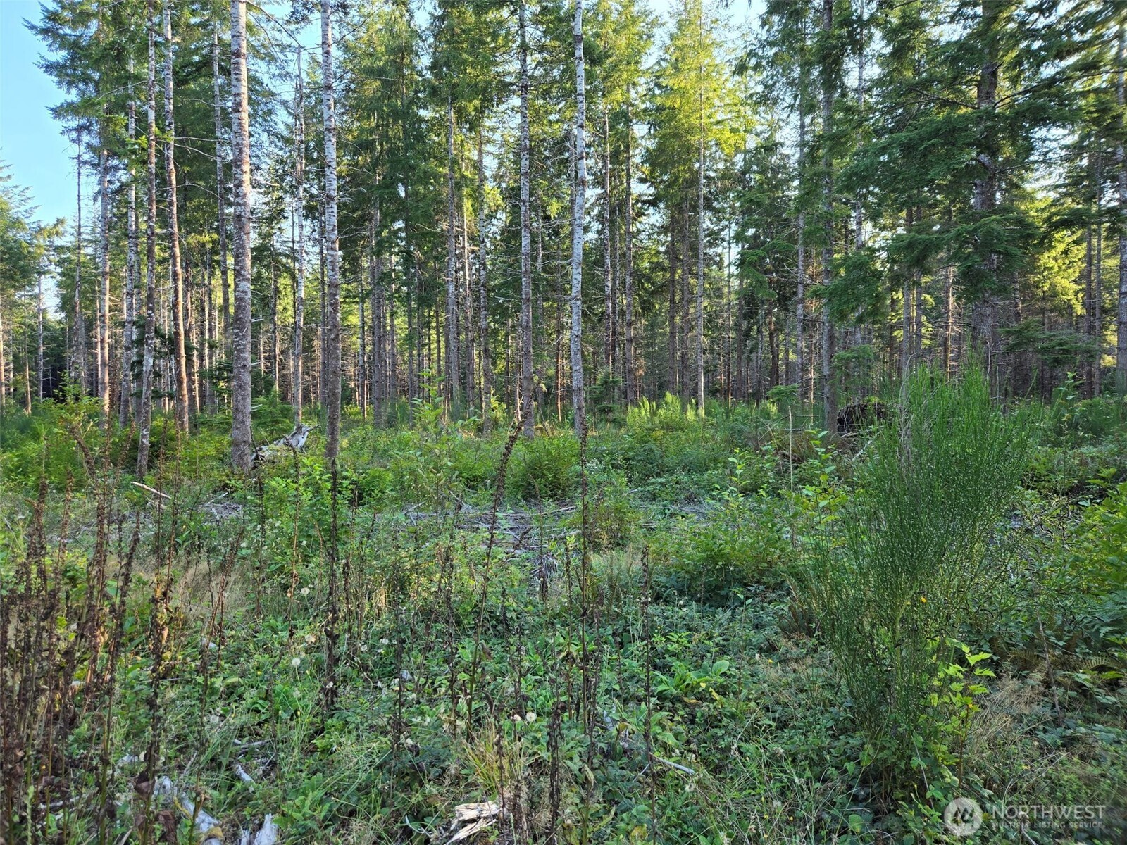 15 Xx Kirkpatrick Road Property Photo 9