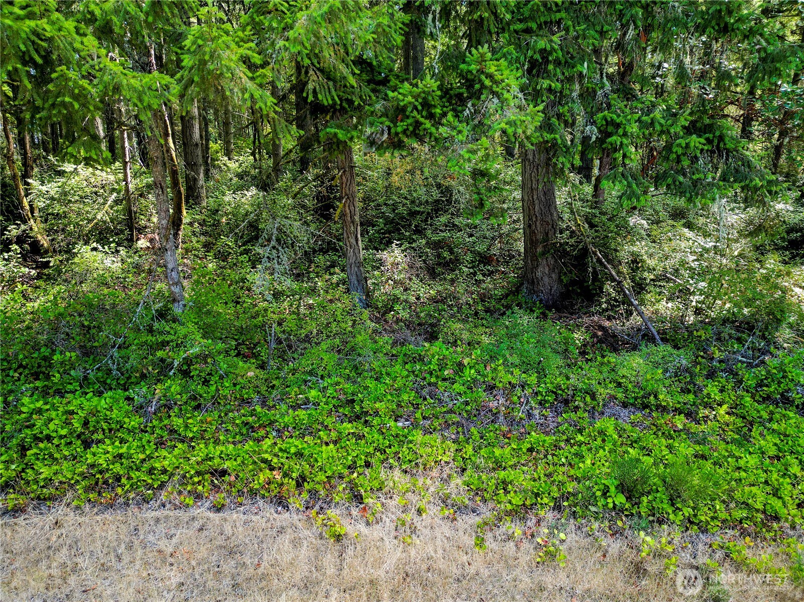 10205 Eckenstam Johnson Road Property Photo 1