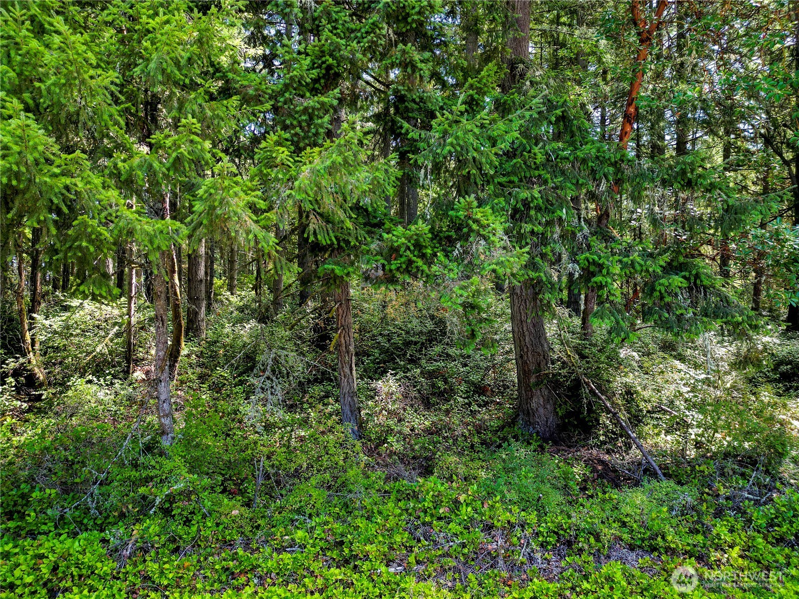 10205 Eckenstam Johnson Road Property Photo 2
