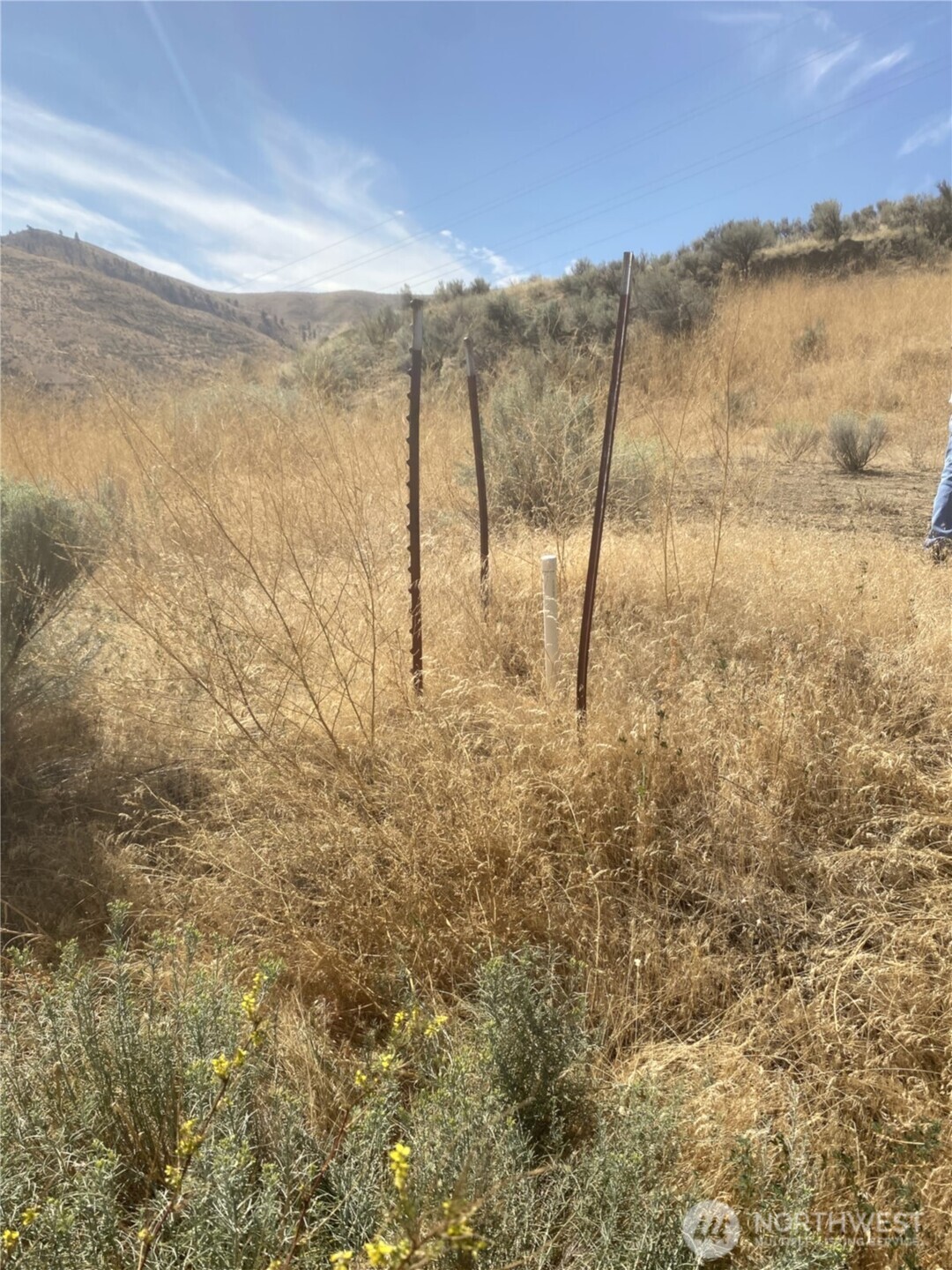 1936 Dorner Place Property Photo 9