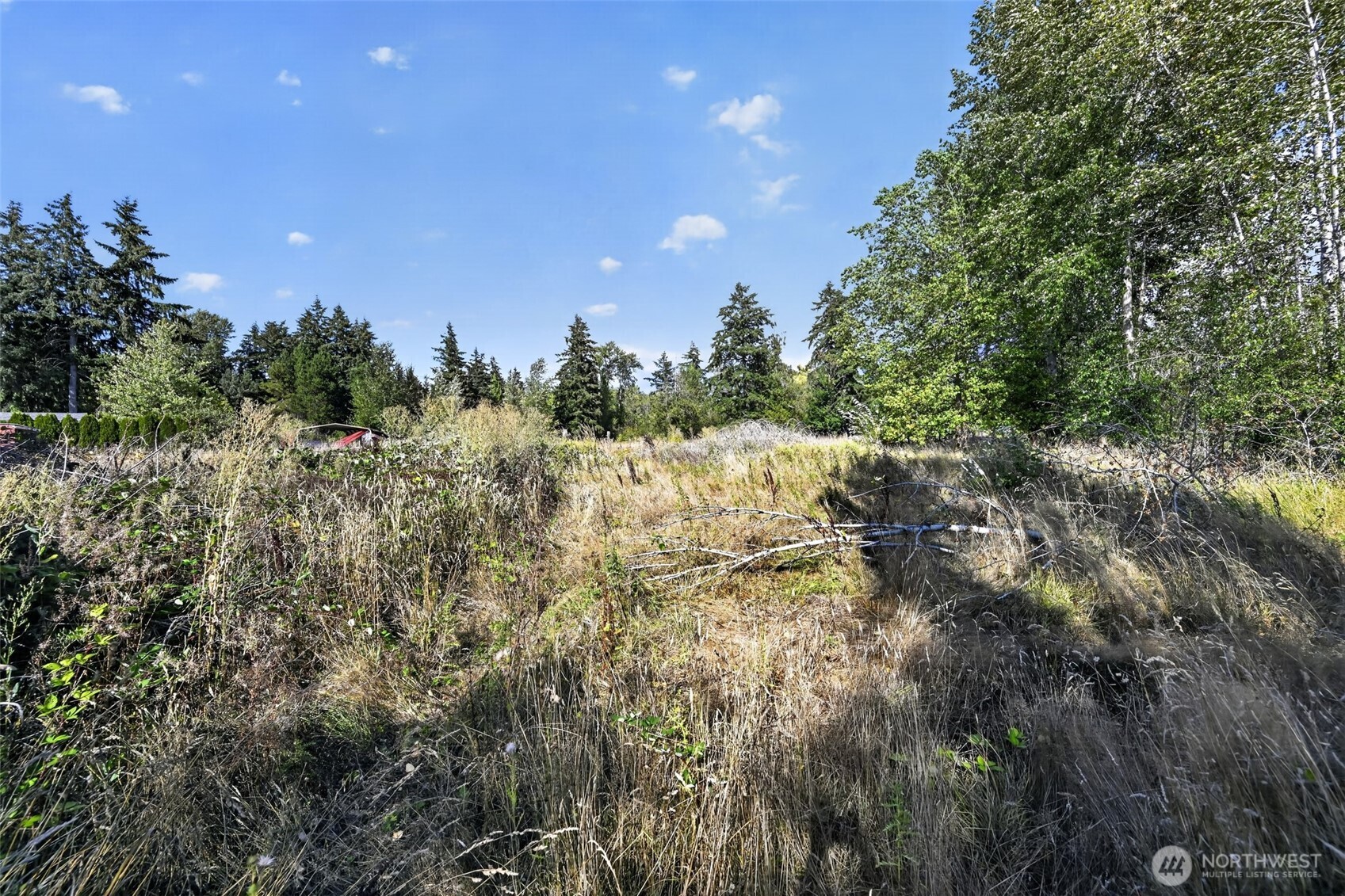 9305 Golden Given Road Property Photo 24