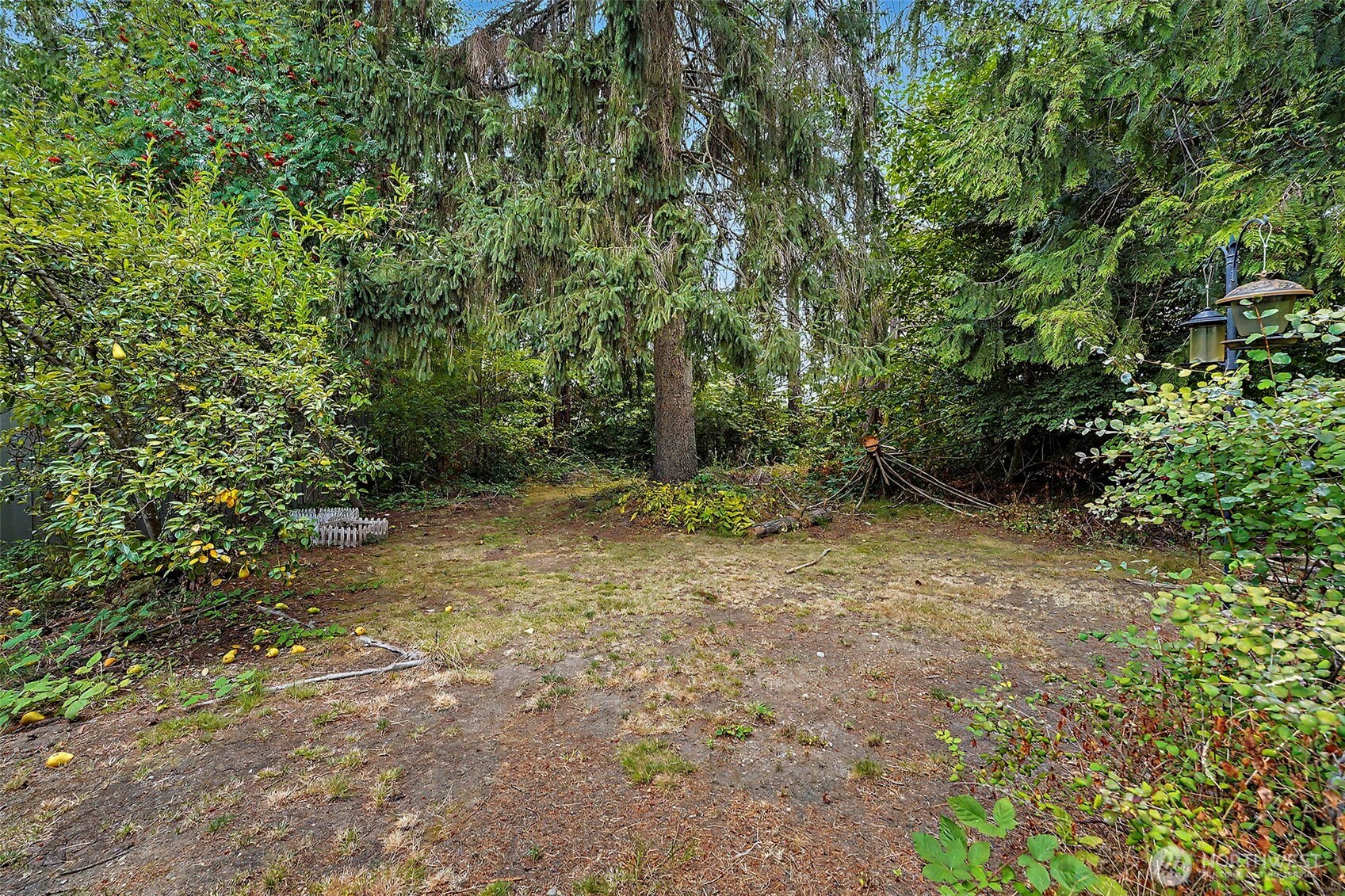 8816 A Street Property Photo 14