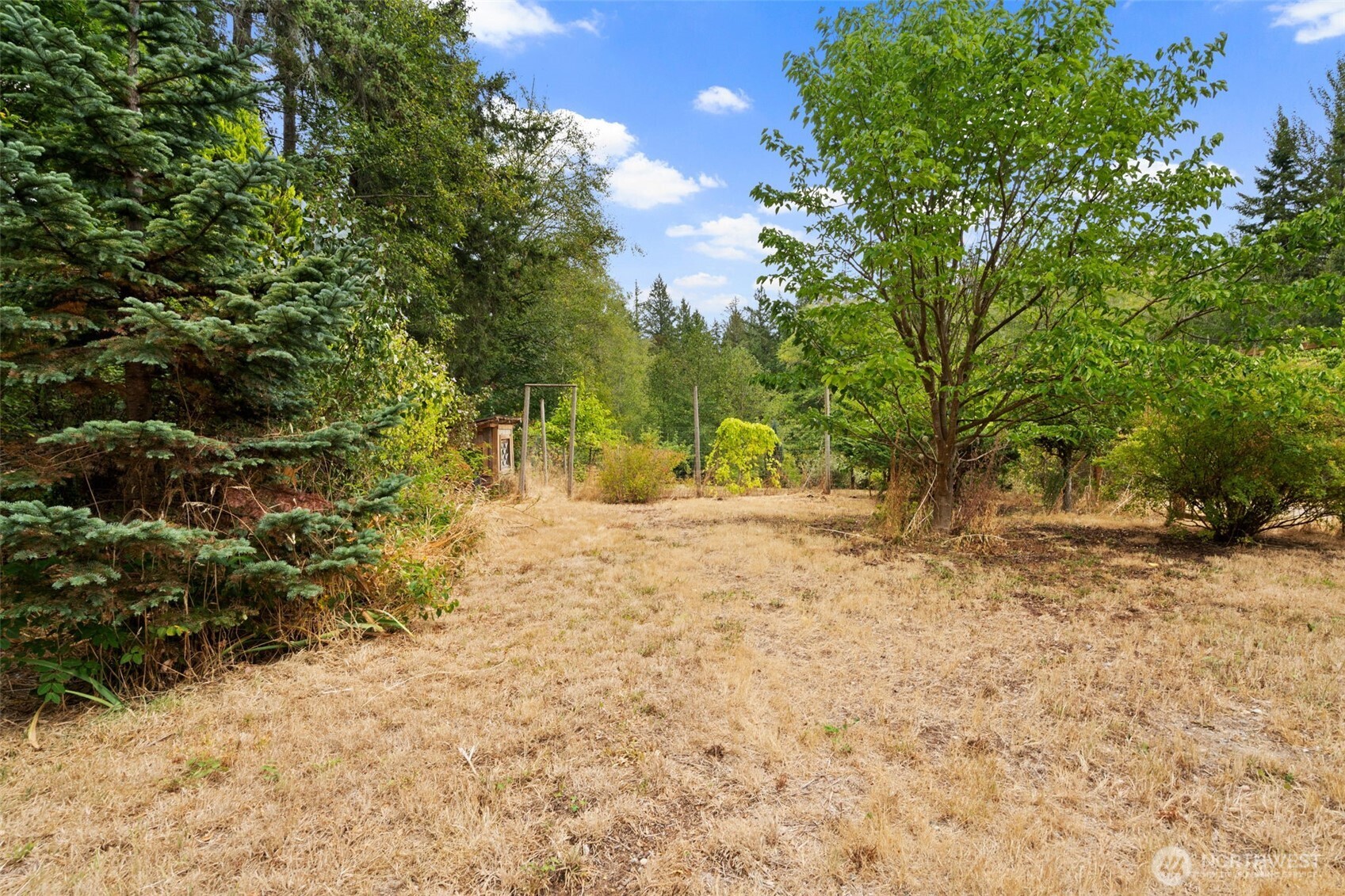 13704 Wright Bliss Road Property Photo 34