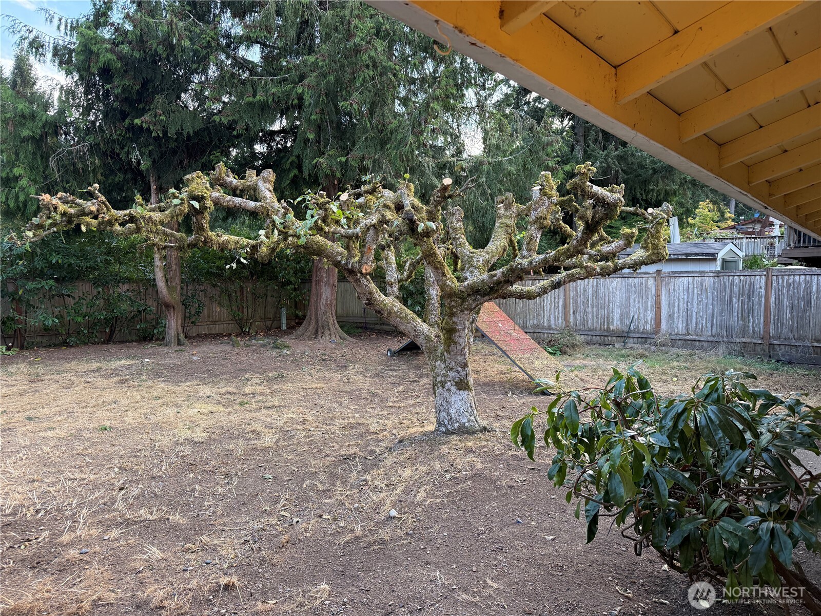 17421 Ne 11th Street Property Photo 35
