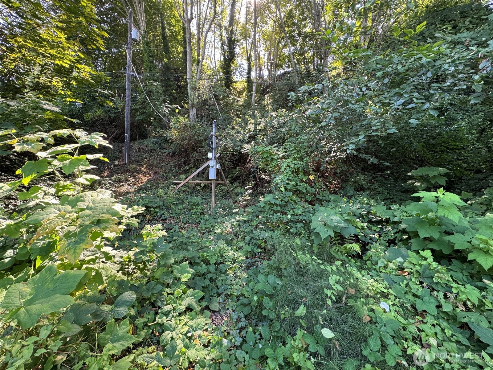 11002 Vashon Highway Property Photo 2
