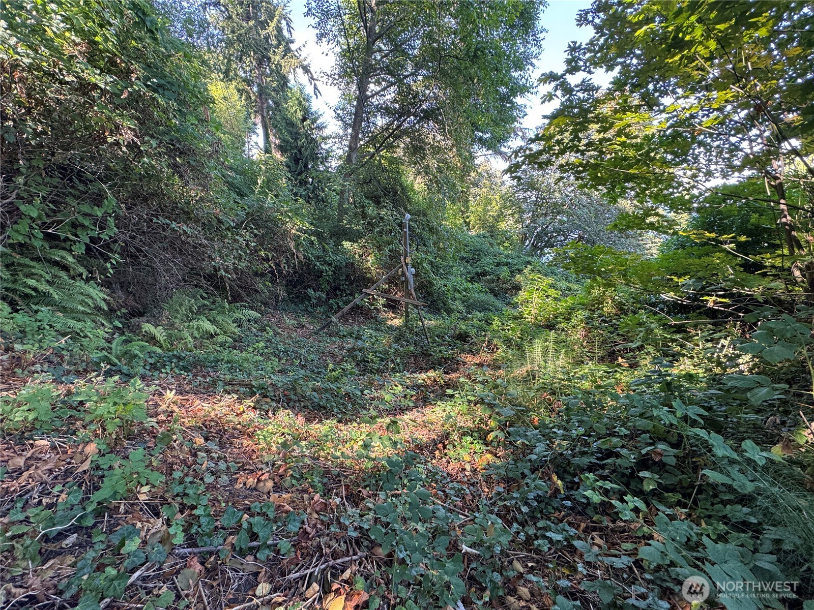 11002 Vashon Highway Property Photo 3
