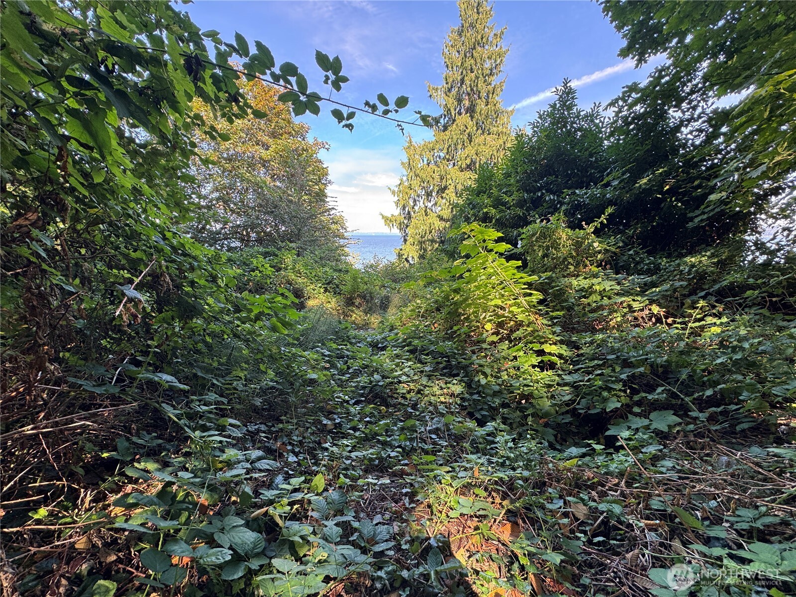 11002 Vashon Highway Property Photo 4