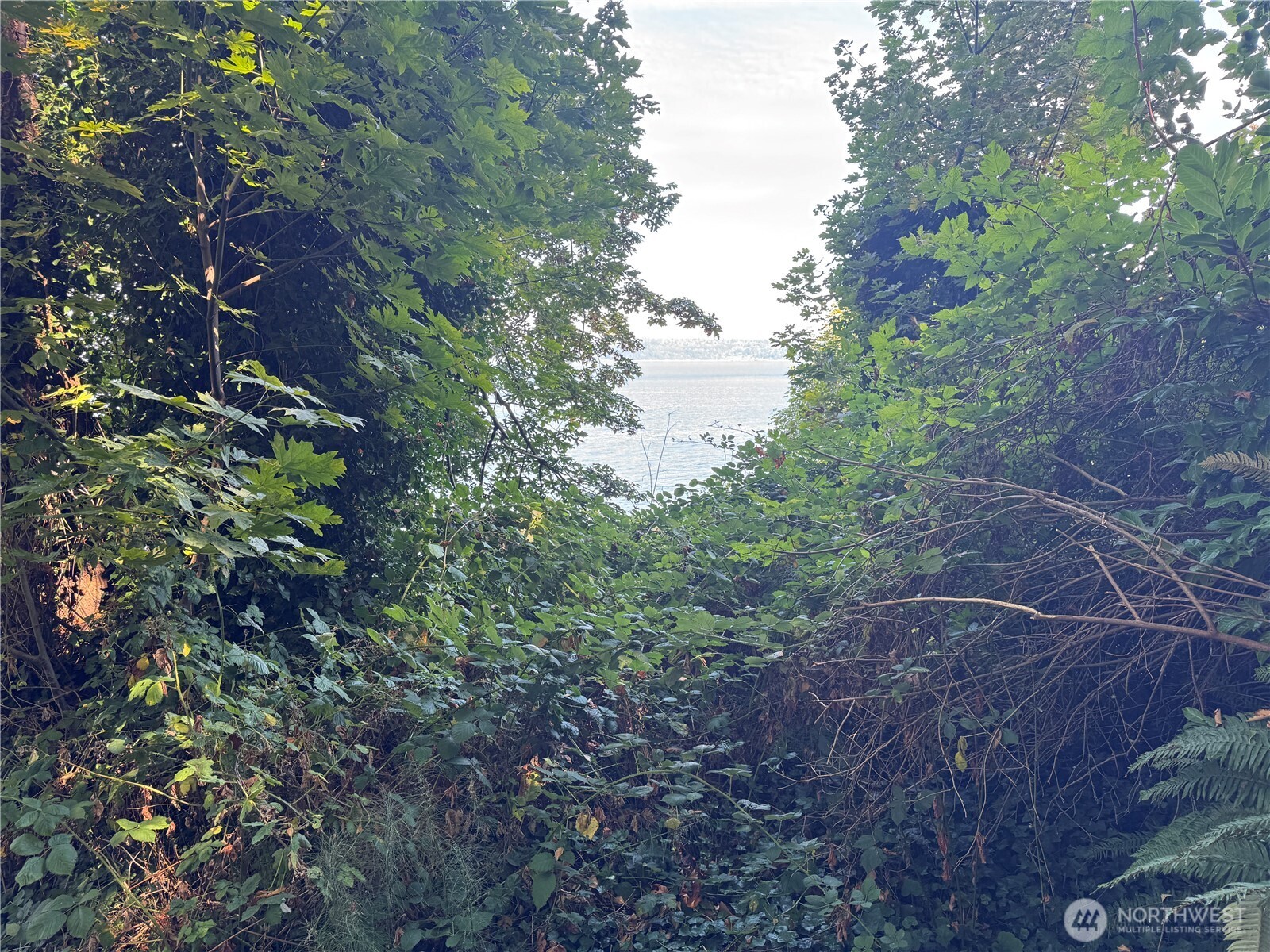 11002 Vashon Highway Property Photo 5