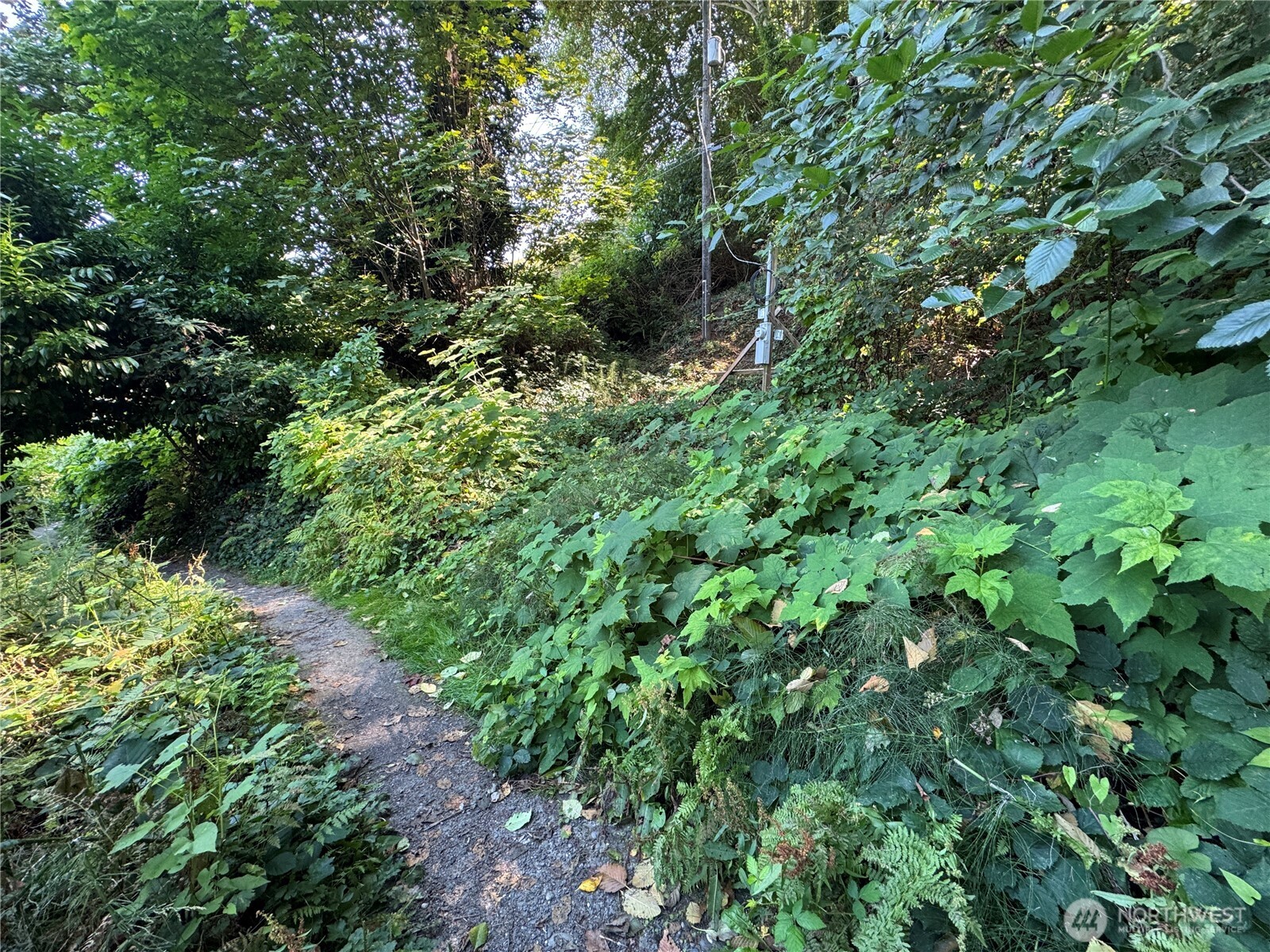11002 Vashon Highway Property Photo 6