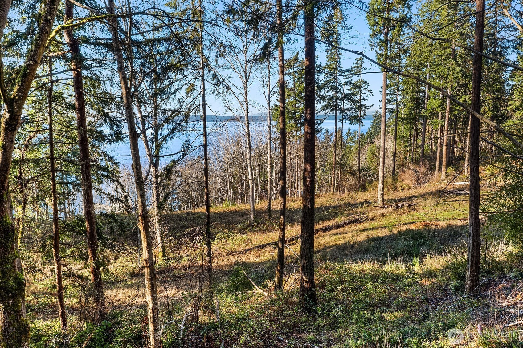 629 3rd Avenue Property Photo 15