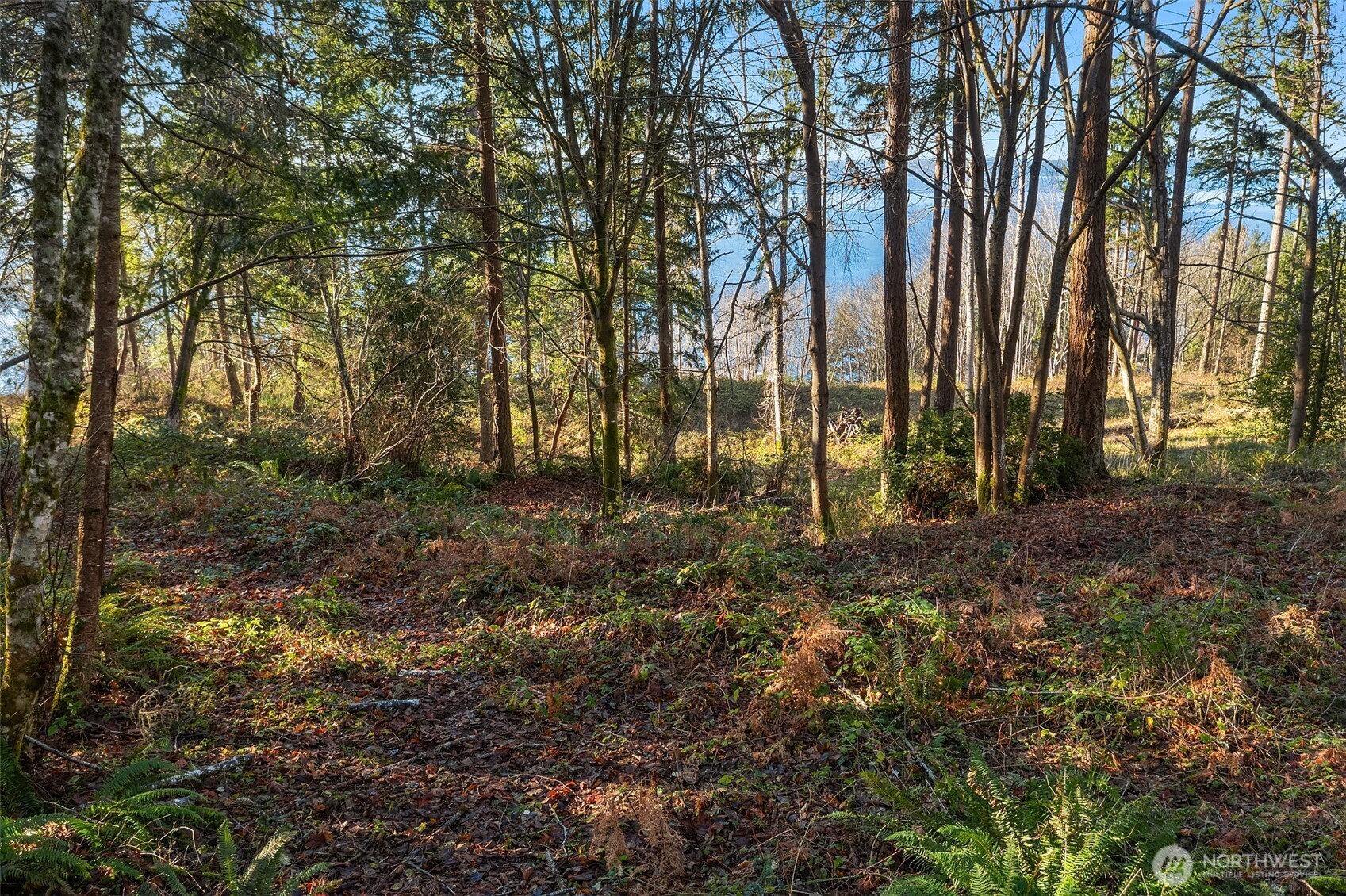 629 3rd Avenue Property Photo 16