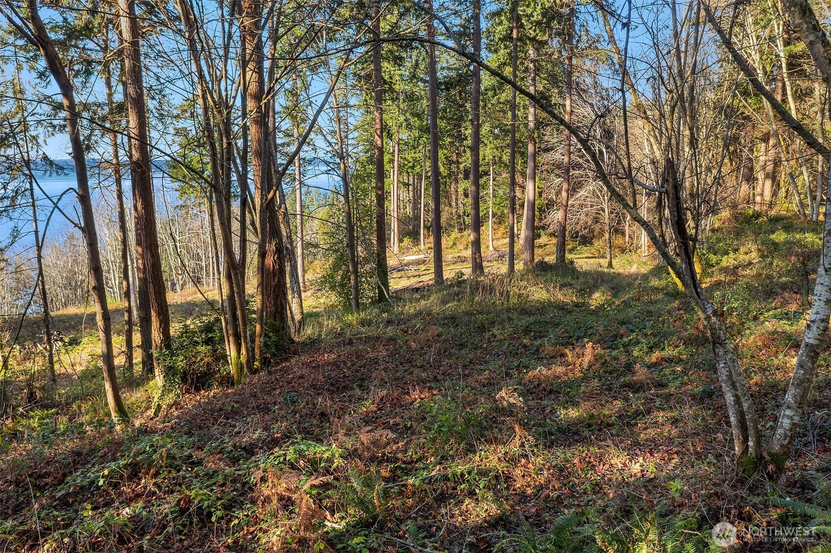 629 3rd Avenue Property Photo 17