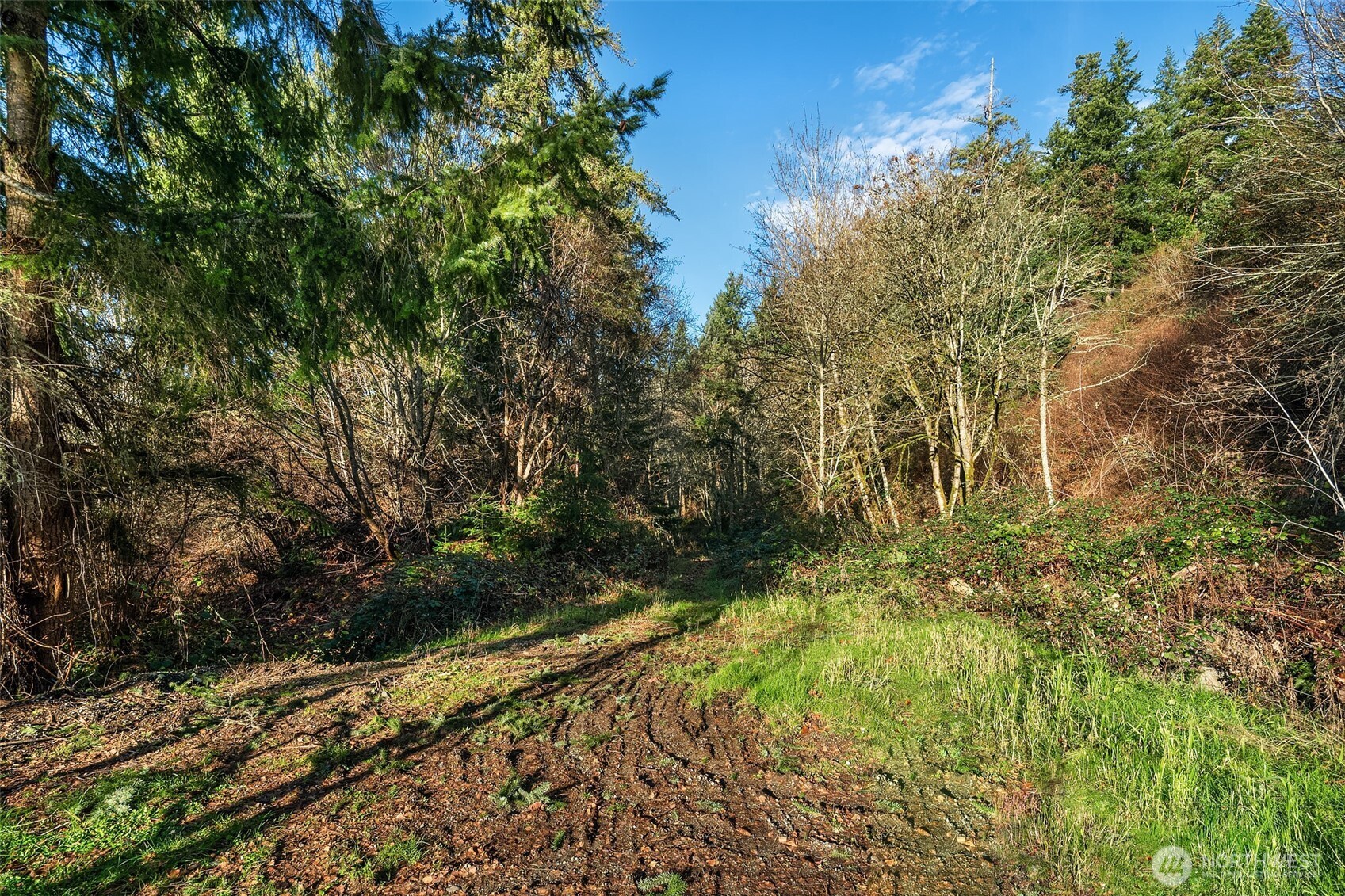 629 3rd Avenue Property Photo 22