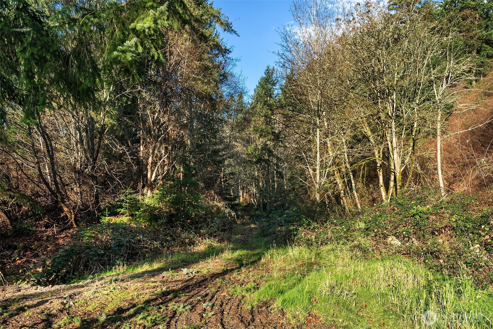 629 3rd Avenue Property Photo 23