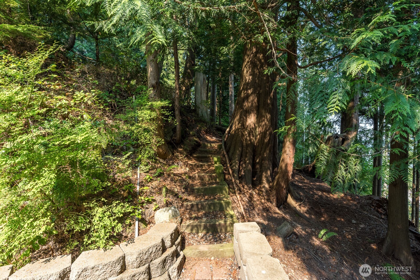 18776 W Big Lake Boulevard Property Photo 30