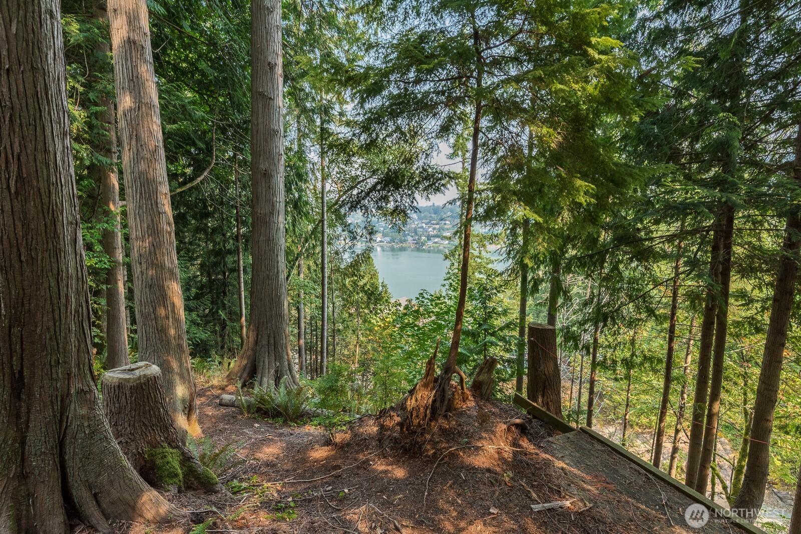 18776 W Big Lake Boulevard Property Photo 31