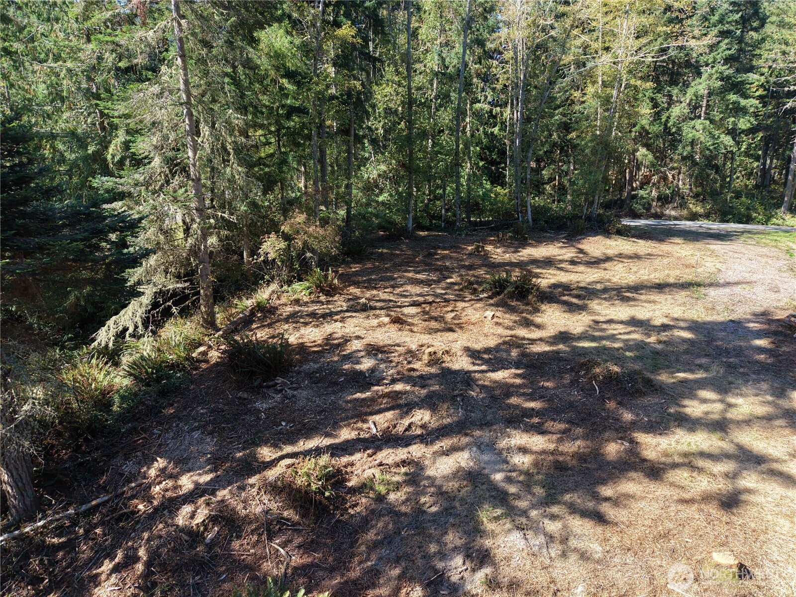 9999 Took A Look Ln Lot 2 Property Photo 1
