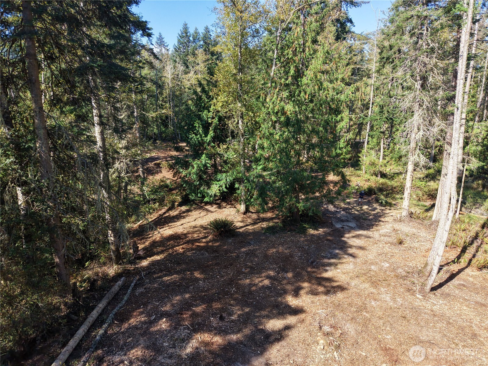 9999 Took A Look Ln Lot 2 Property Photo 3