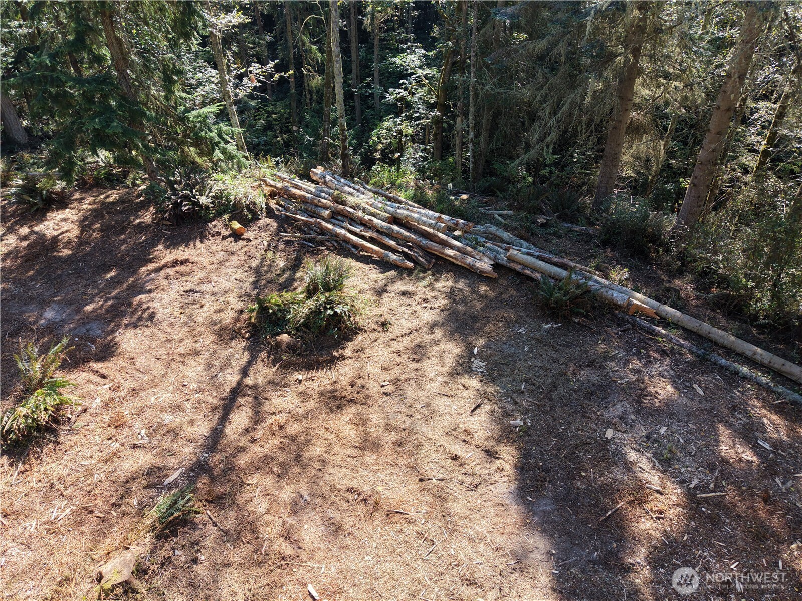 9999 Took A Look Ln Lot 2 Property Photo 4