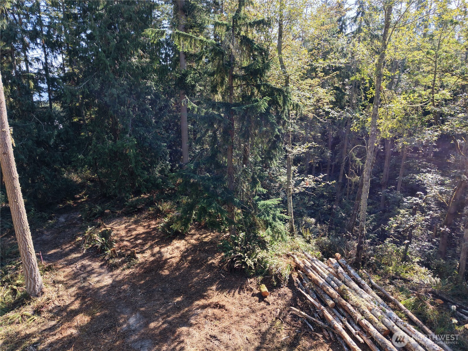 9999 Took A Look Ln Lot 2 Property Photo 5