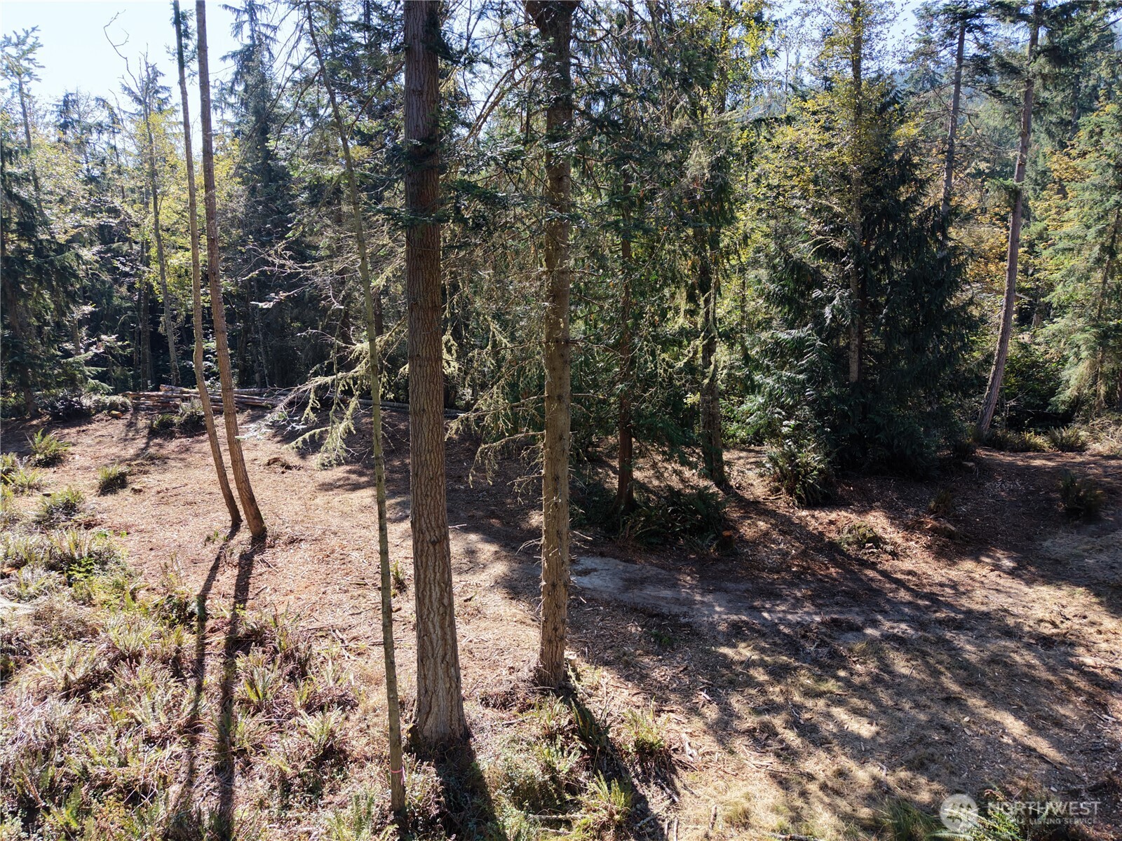 9999 Took A Look Ln Lot 2 Property Photo 7