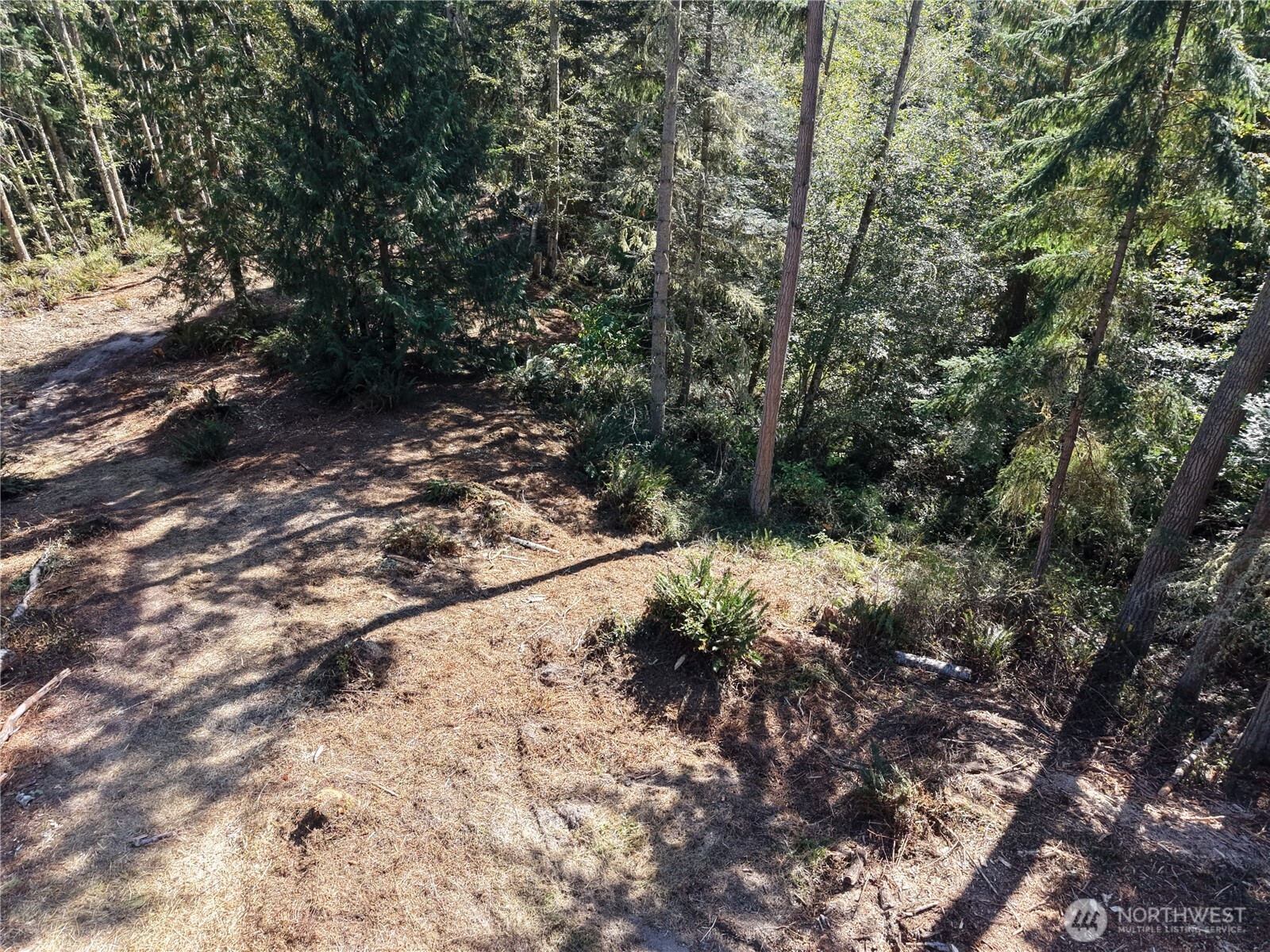 9999 Took A Look Ln Lot 2 Property Photo 9