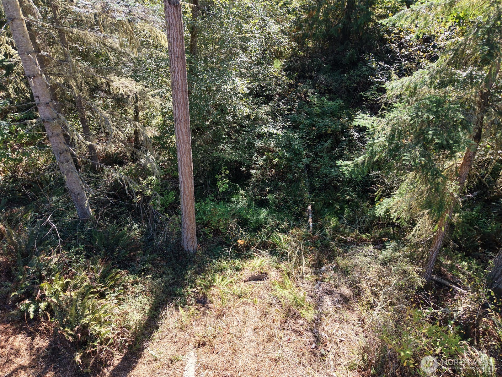 9999 Took A Look Ln Lot 2 Property Photo 10