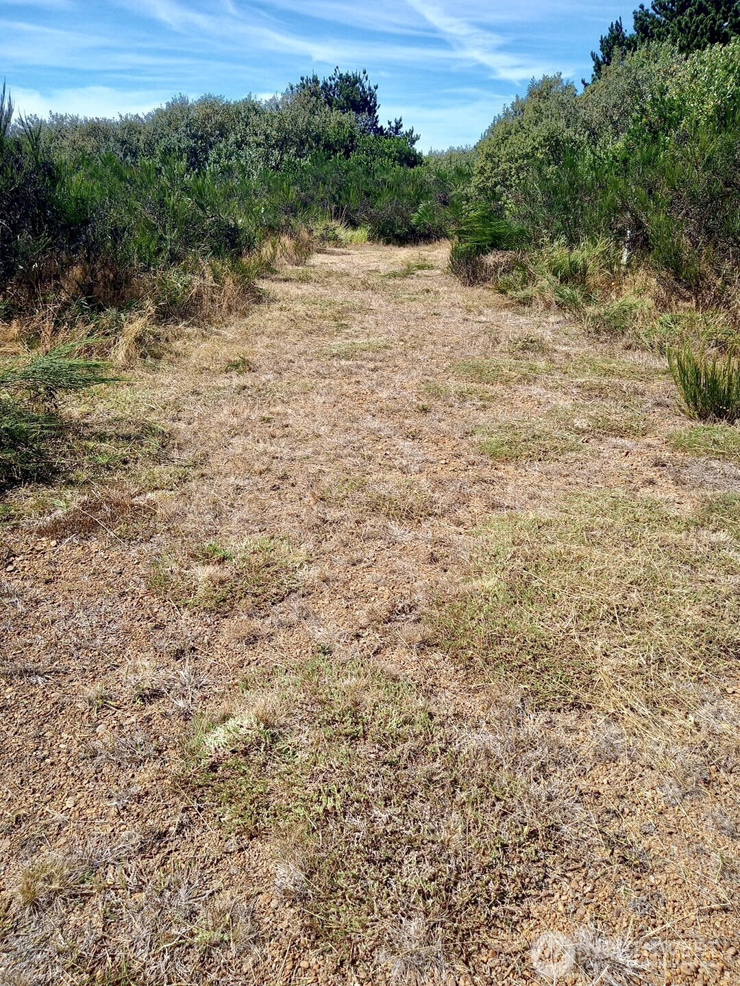 543 Sand Dune Avenue Property Photo 1