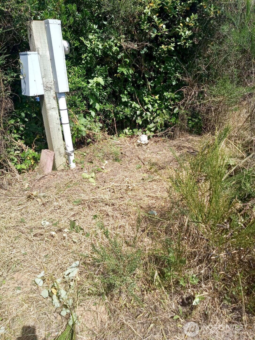 543 Sand Dune Avenue Property Photo 7