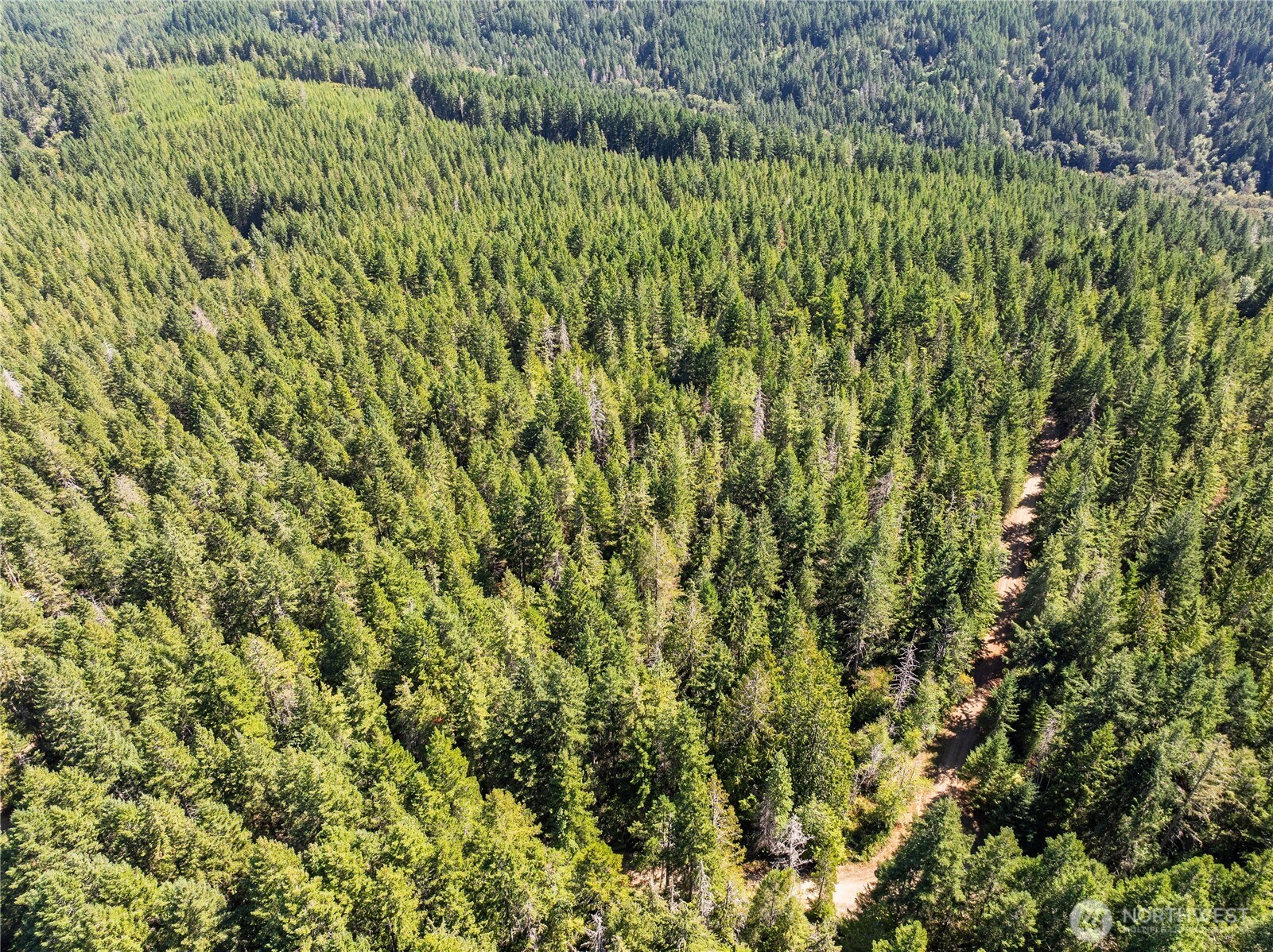 0 Ne Aquila Ridge Road Property Photo 6