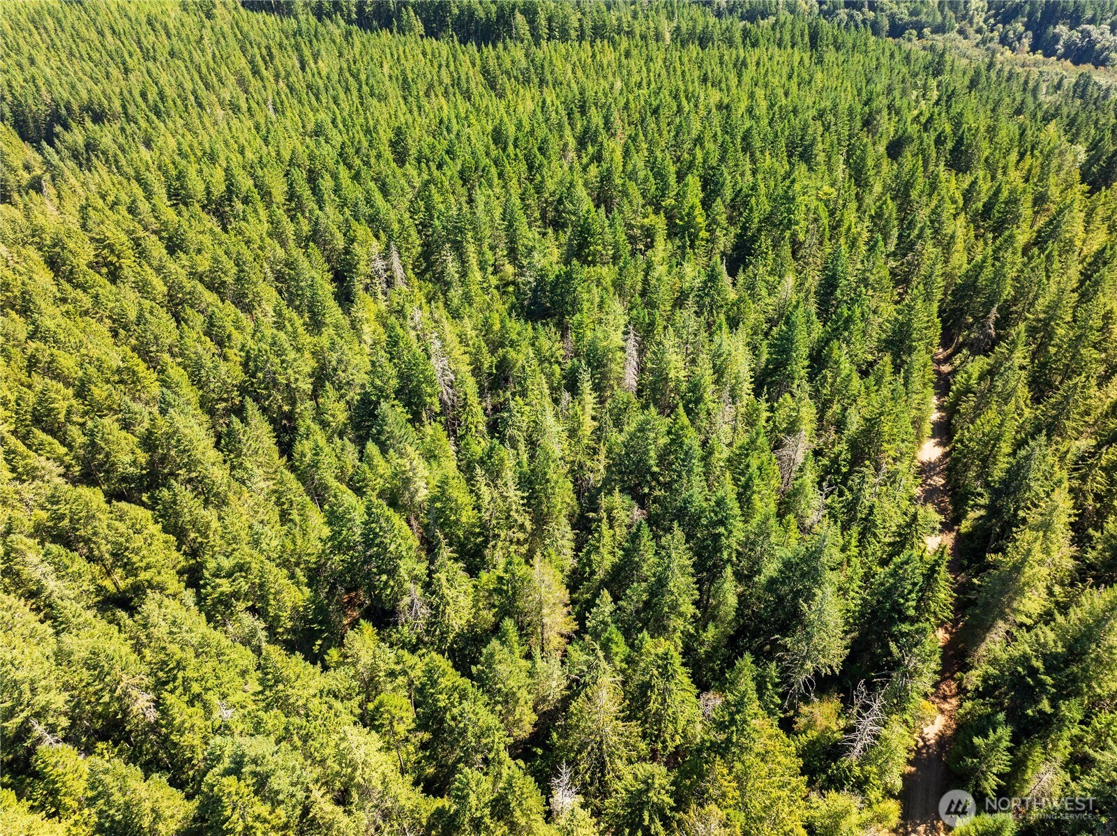 0 Ne Aquila Ridge Road Property Photo 26