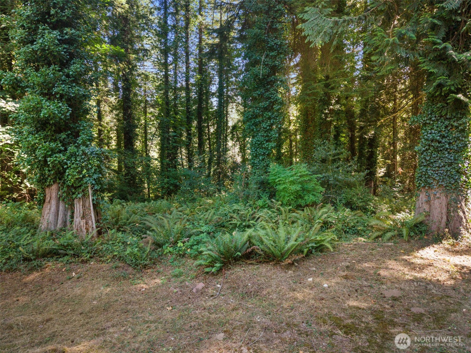 8306 94th Street A & B Property Photo 31