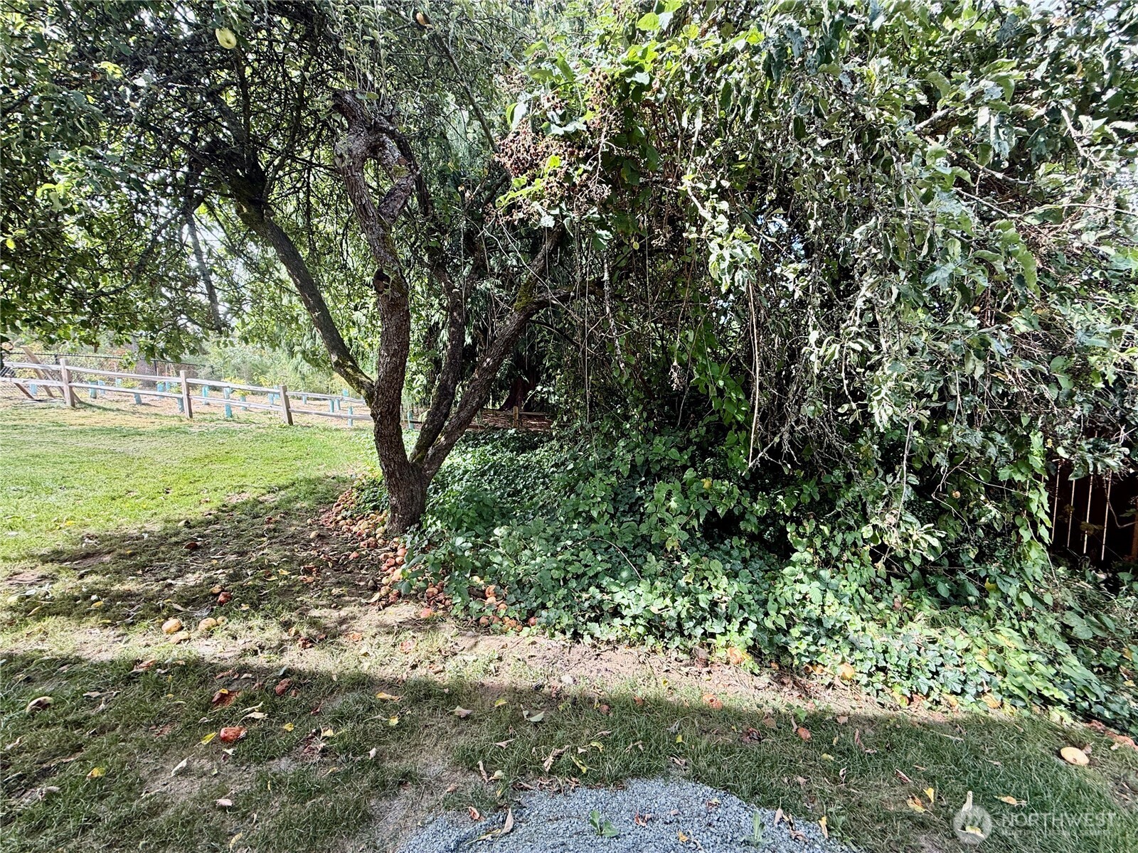 3804 Q Avenue Property Photo 27