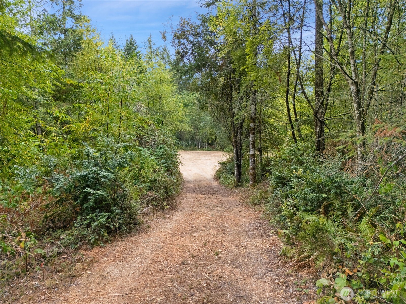 17510 144th Street Property Photo 37