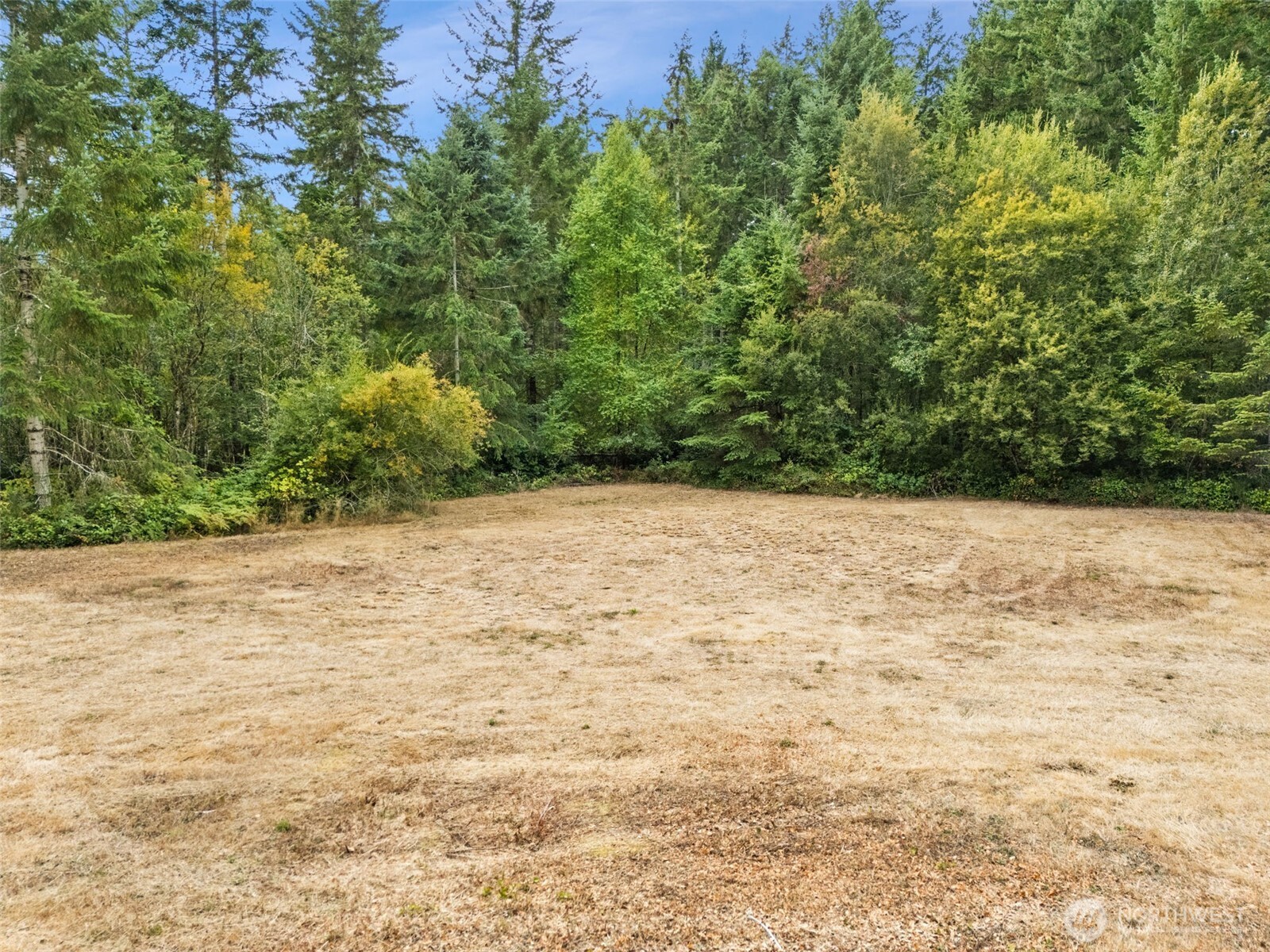 17510 144th Street Property Photo 38