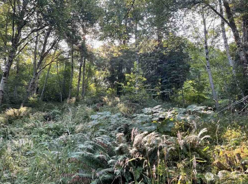 108 E Beaver Lane Property Photo 3