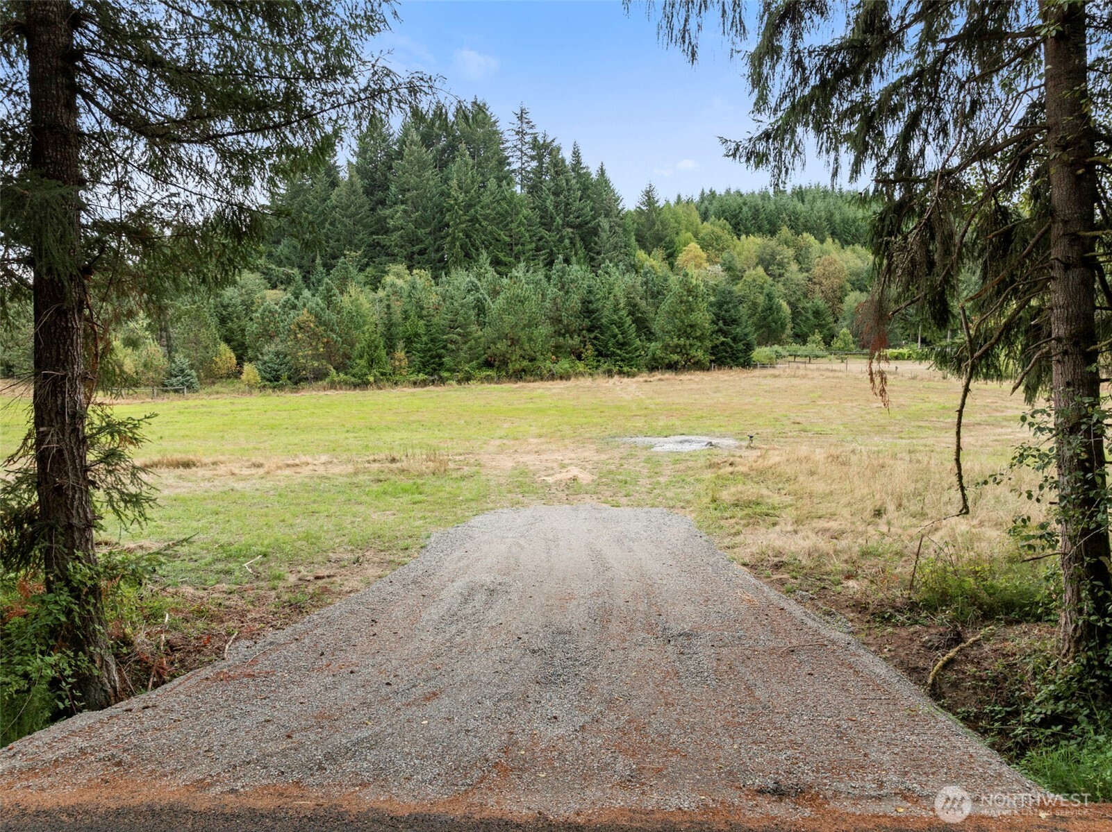 167 Mattson Road Property Photo 2