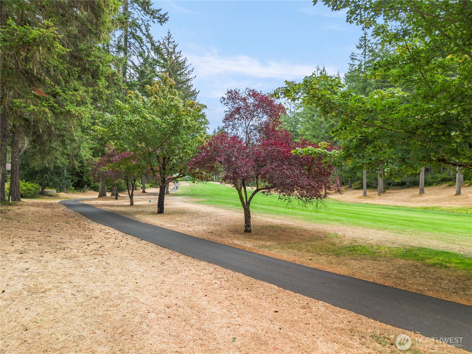 250 E Saint Andrews Drive Property Photo 3