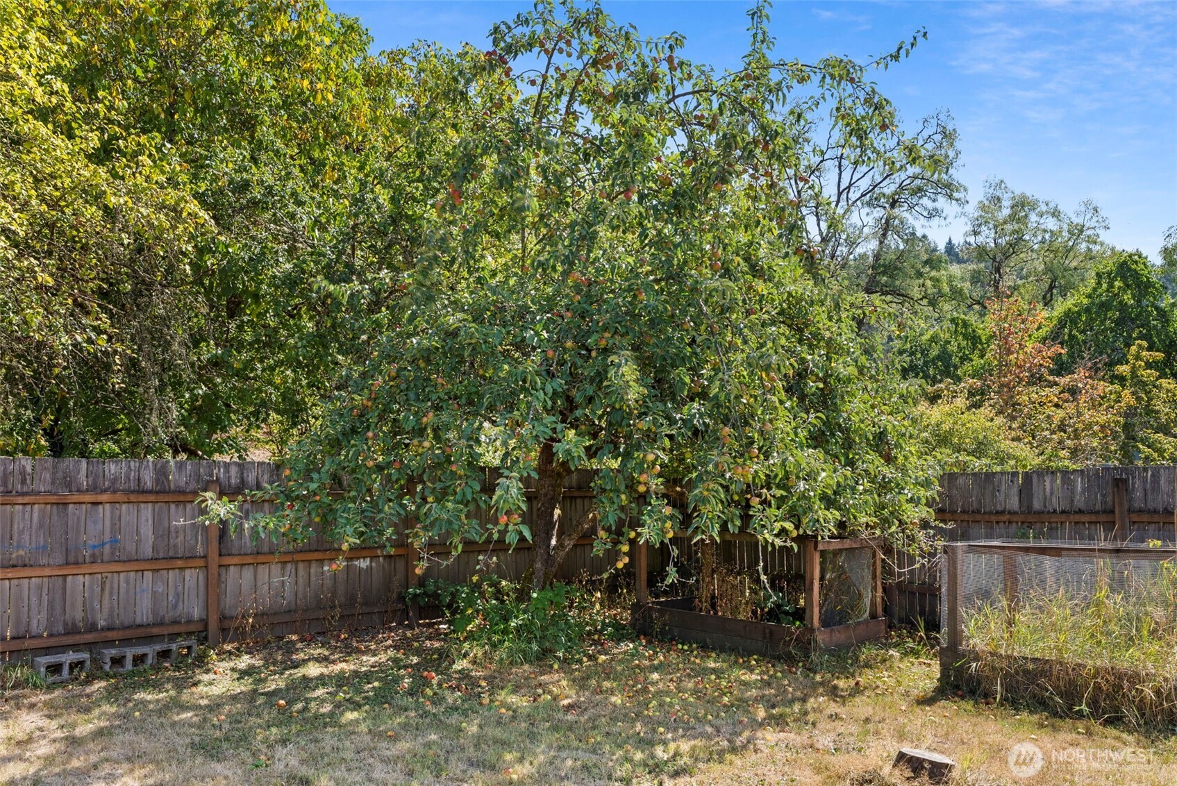 118 N Buckner Street Property Photo 30