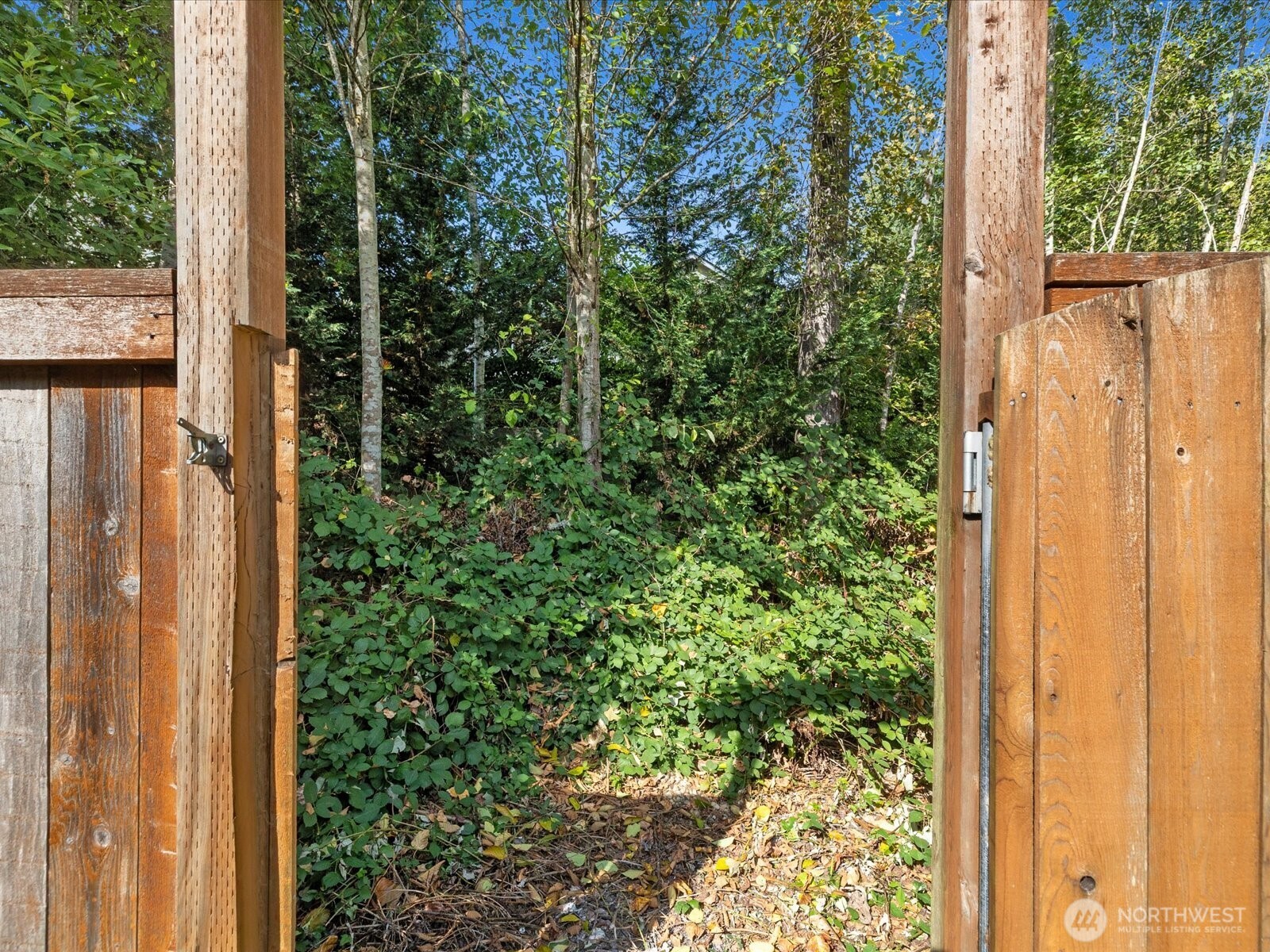12421 30th Place Property Photo 37