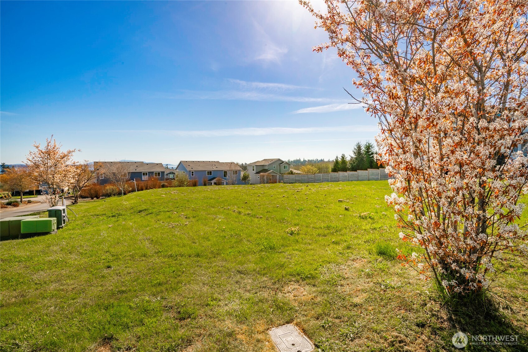 5463 Tolmiea Court Property Photo 6