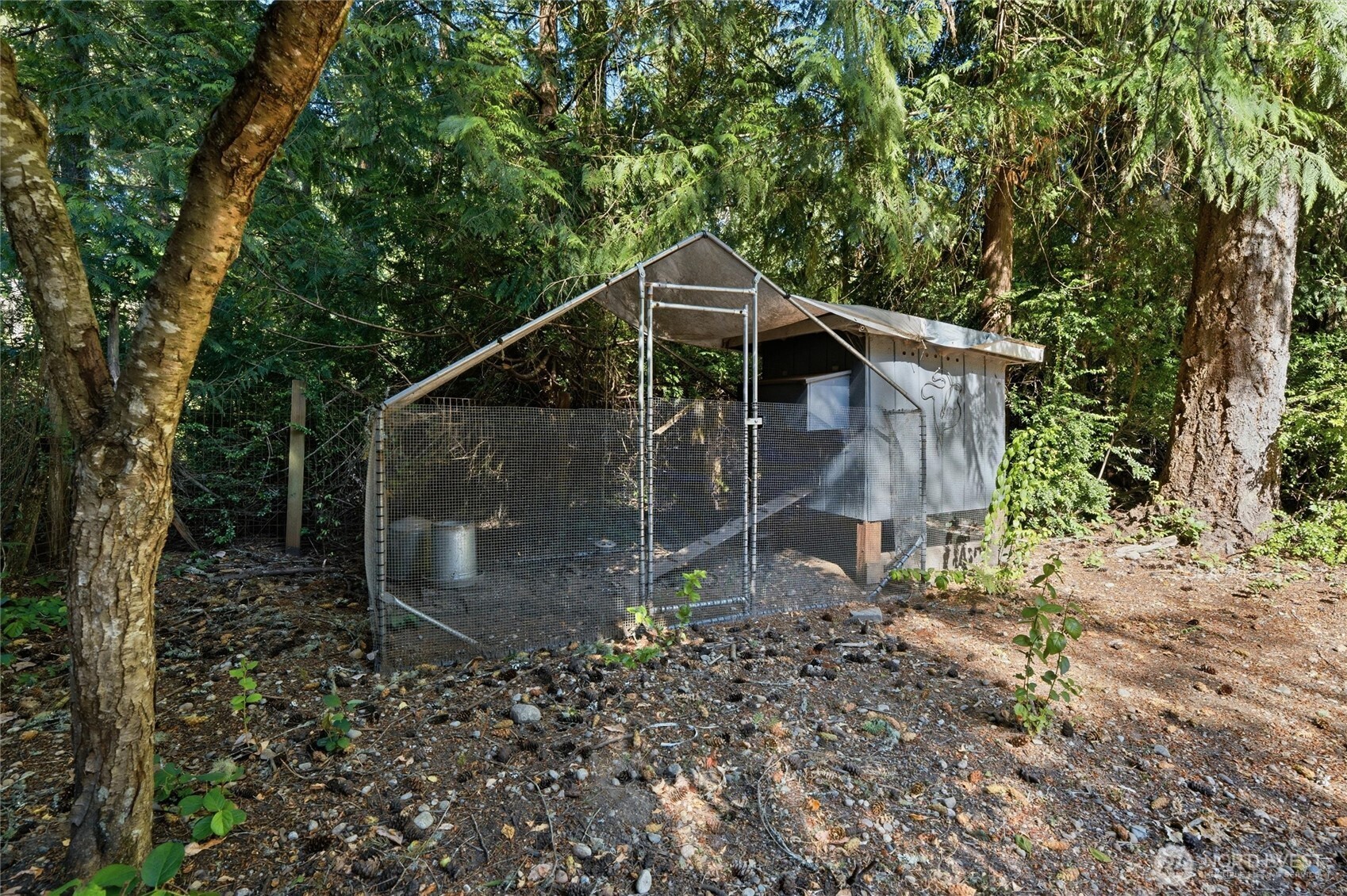 11606 Creviston Drive Property Photo 19