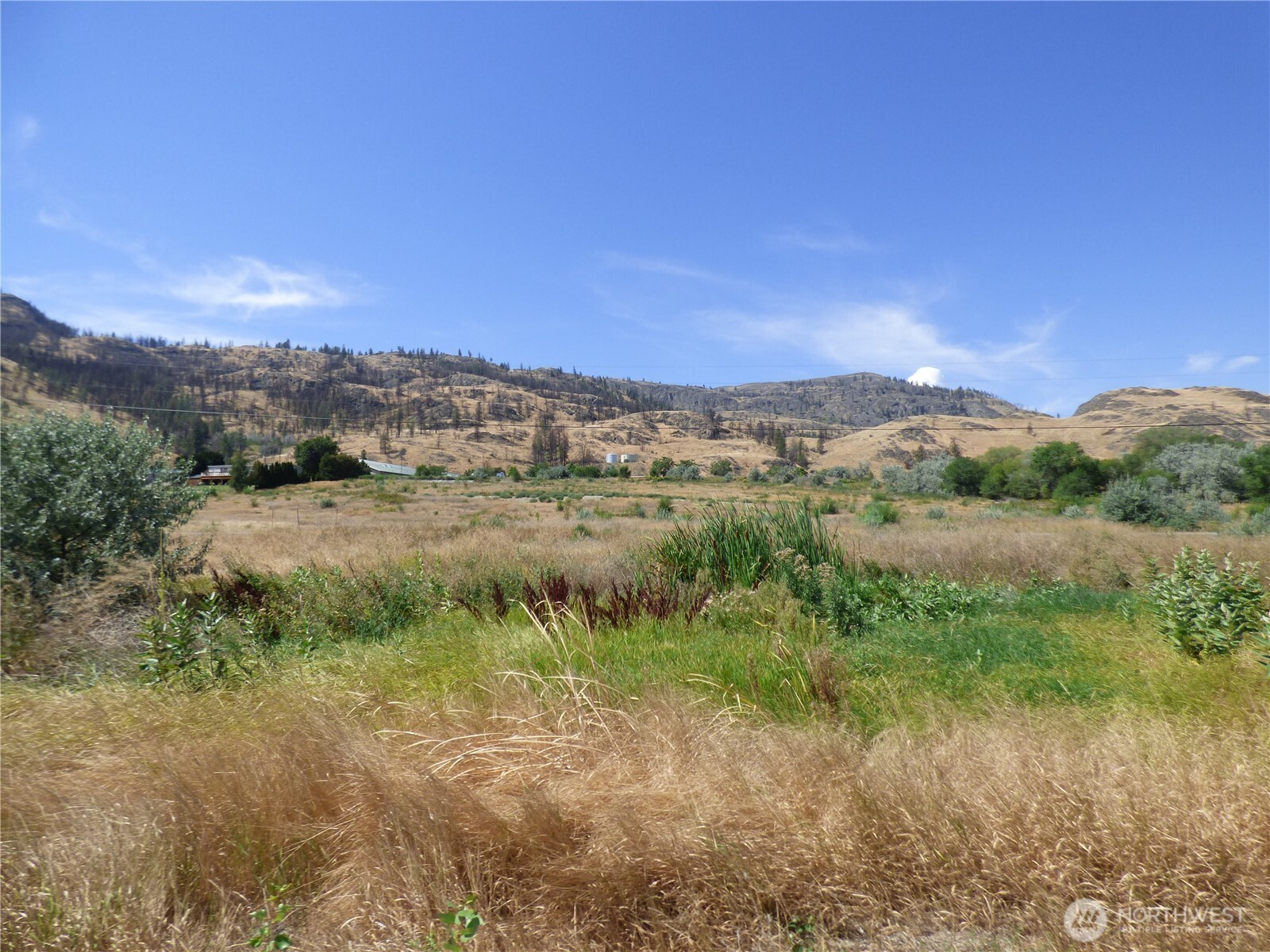 17 Swann Lane Property Photo 7