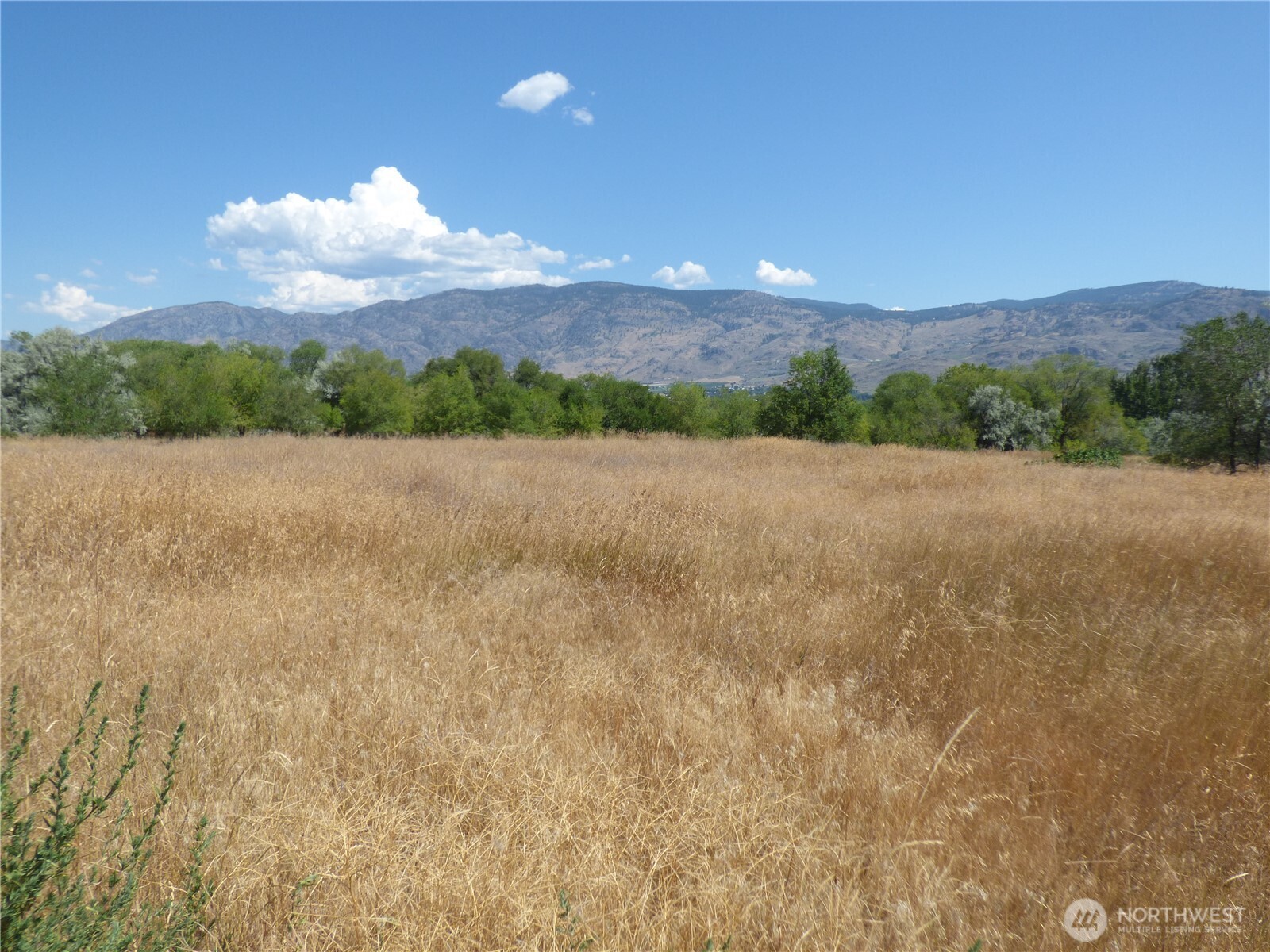 17 Swann Lane Property Photo 13