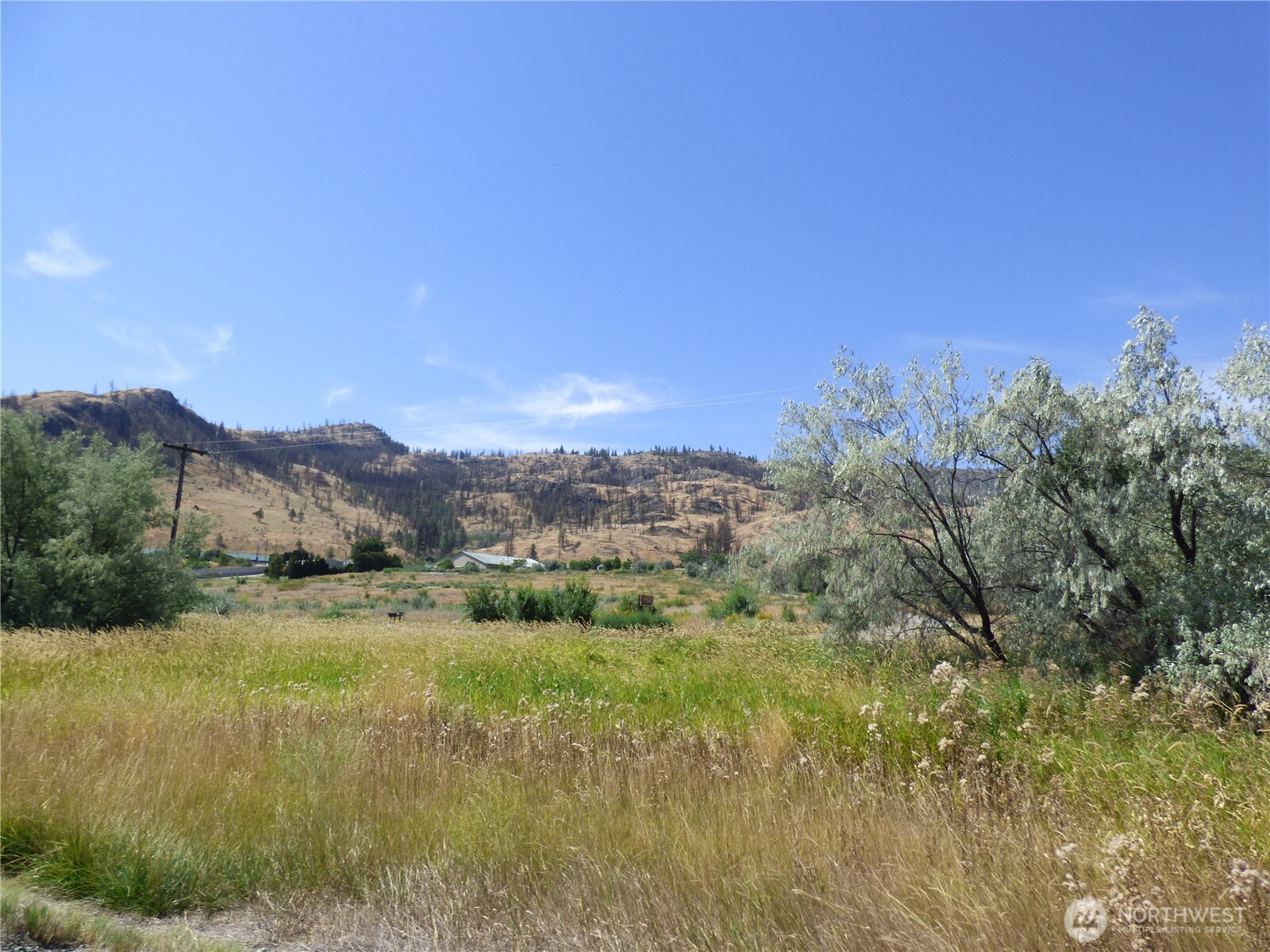 17 Swann Lane Property Photo 16