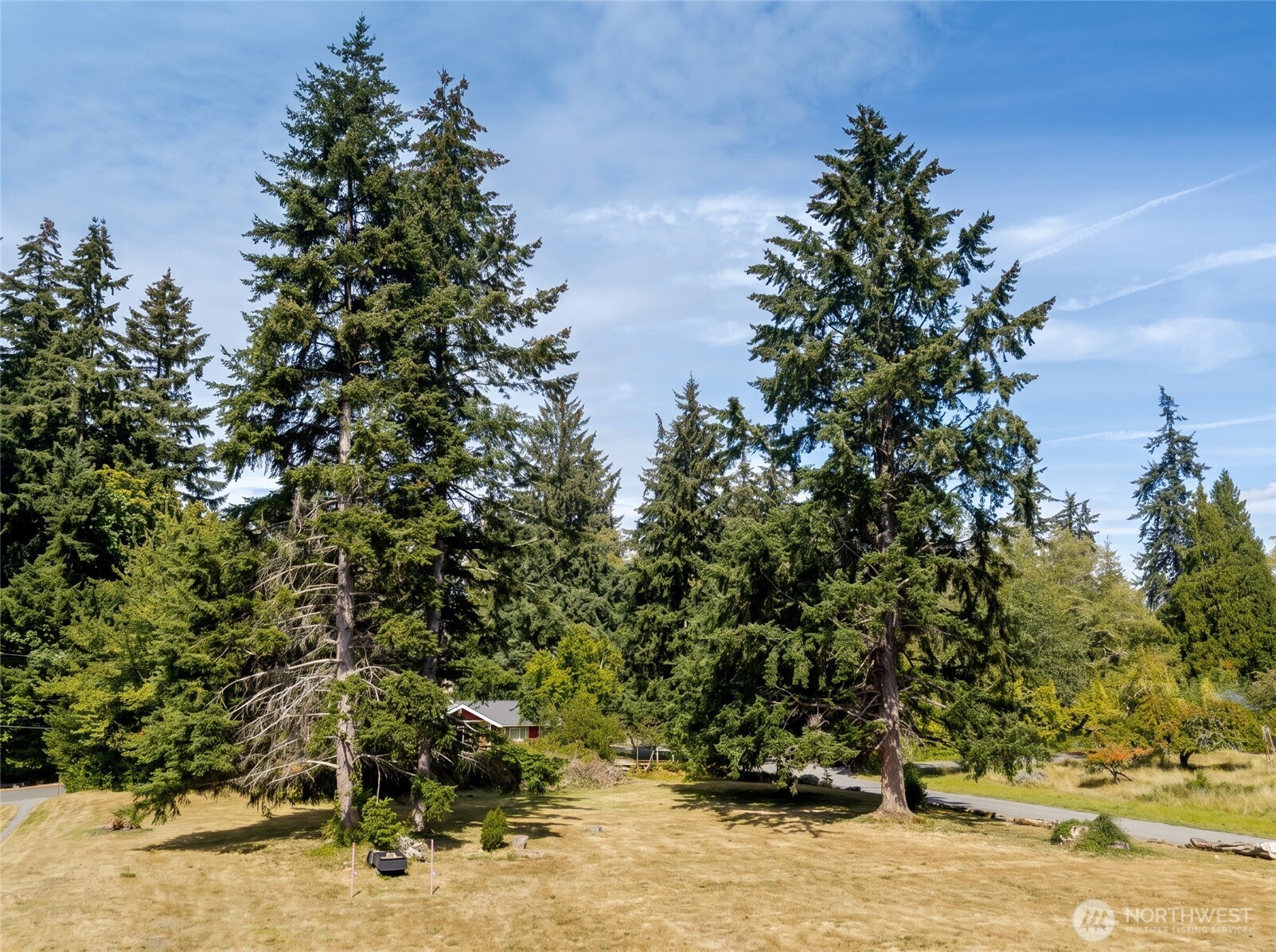 99 Xx Sw 116th Street Property Photo 10