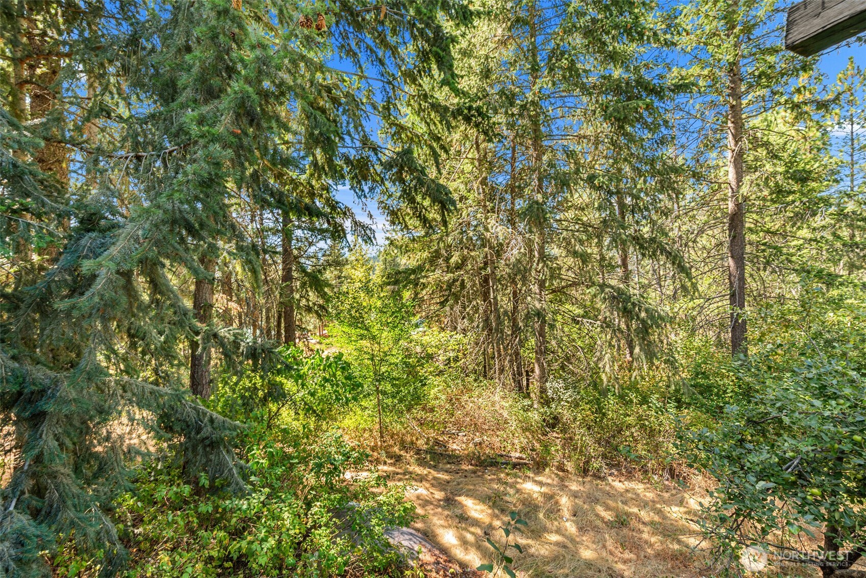 24608 Spur Street Property Photo 20
